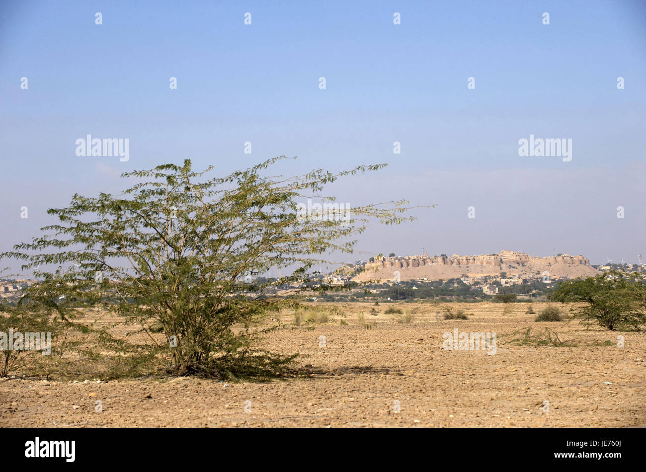 L'Inde, Rajasthan, Jaisalmer, désert du Thar, bastion dans l'arrière-plan, Banque D'Images