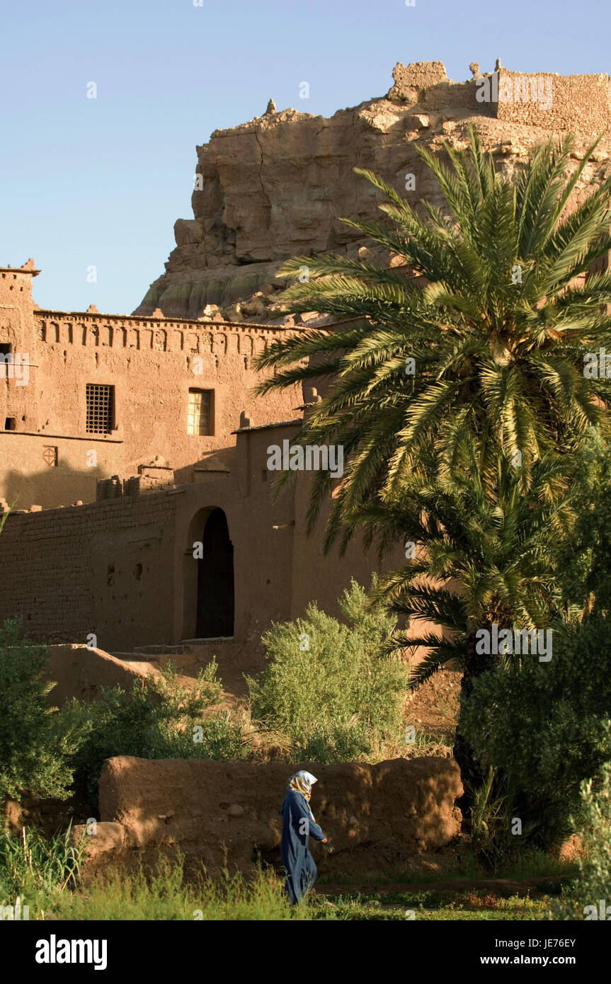 Le Maroc, Aït-Ben-Haddou, mucky house, de palmiers, de piétons, de l'Afrique, Afrique du Nord, l'endroit, Ksar, maison, mucky méthode de construction, généralement, typiquement pour des pays, l'architecture, l'architecture, de la végétation, sale à l'extérieur, point d'intérêt, à l'UNESCO patrimoine culturel mondial, la destination, la personne, la femme, les sections locales, foulard, Banque D'Images