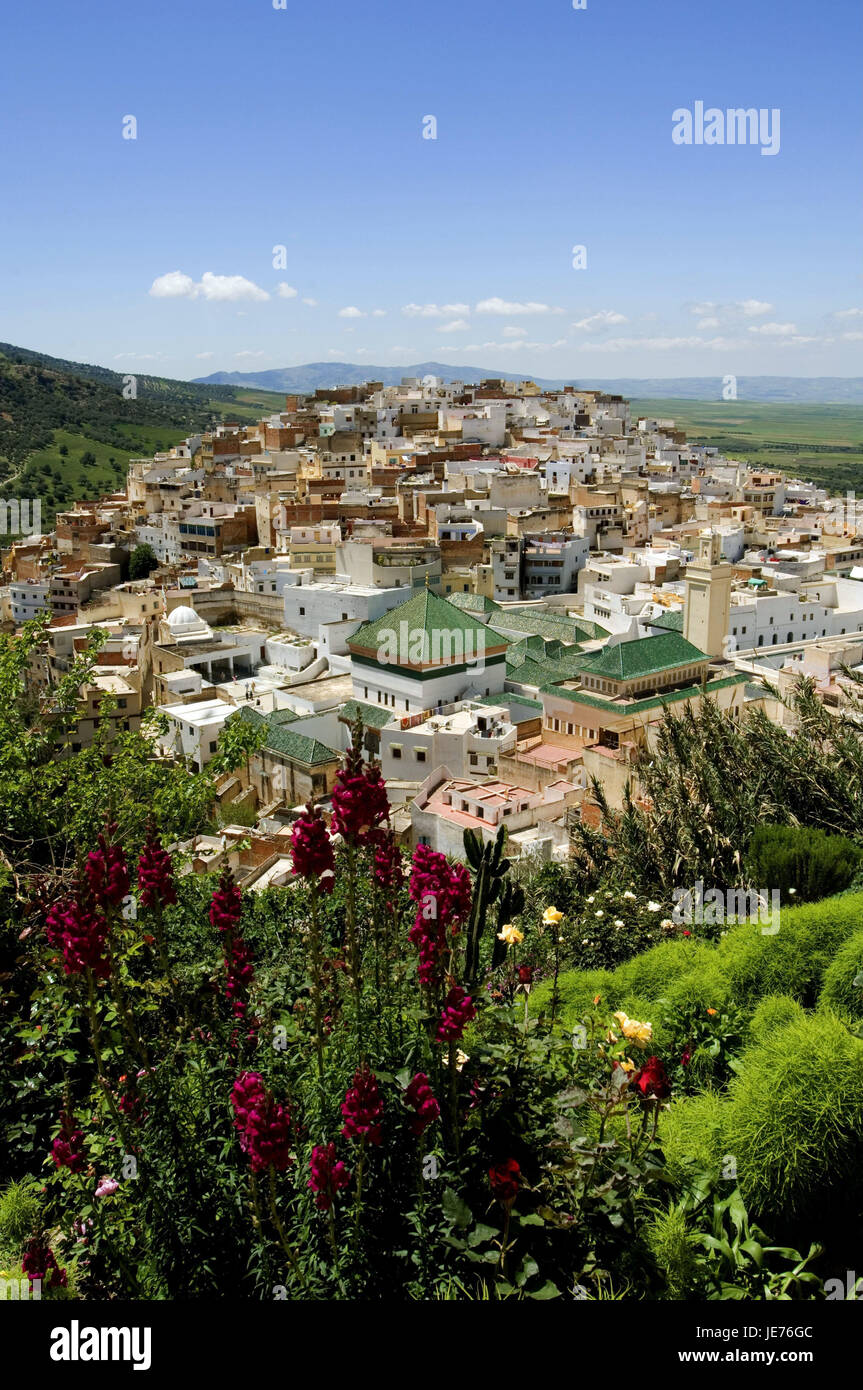 Le Maroc, Moulay Idriss, vue sur ville, Afrique, Afrique du Nord, de la ville, lieu de pèlerinage, les maisons, les bâtiments, l'architecture, paysages, montagnes, ciel, bleu, vue, la végétation, les plantes, fleurs, Banque D'Images