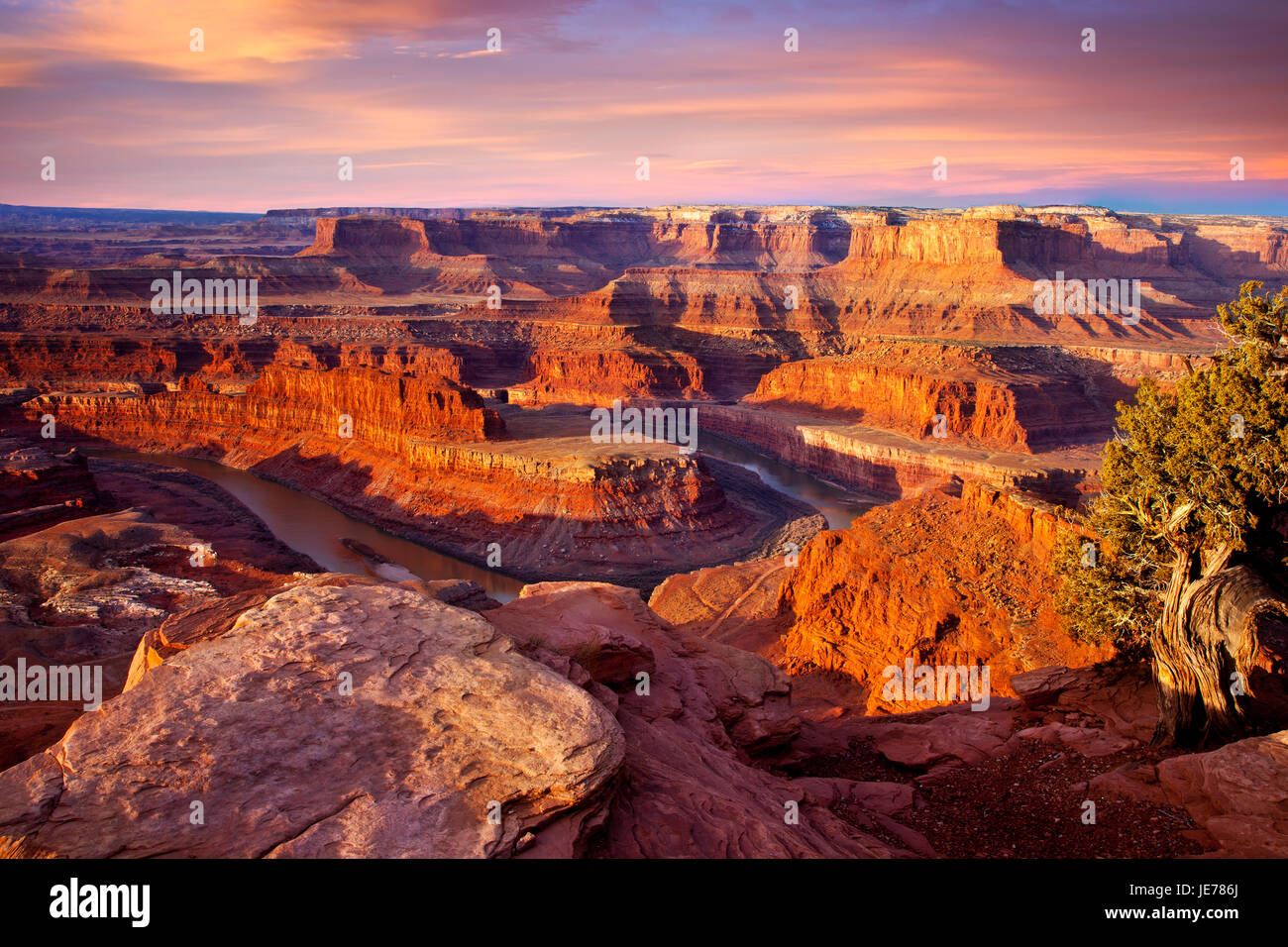 Le lever du soleil sur la rivière Colorado ci-dessous Dead Horse Point State Park près de Moab, Utah, USA Banque D'Images