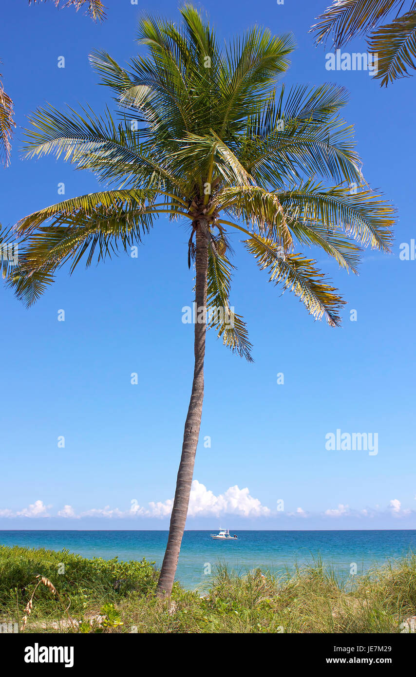 Une belle journée à la plage de Fort Lauderdale sur une agréable journée d'été. Banque D'Images