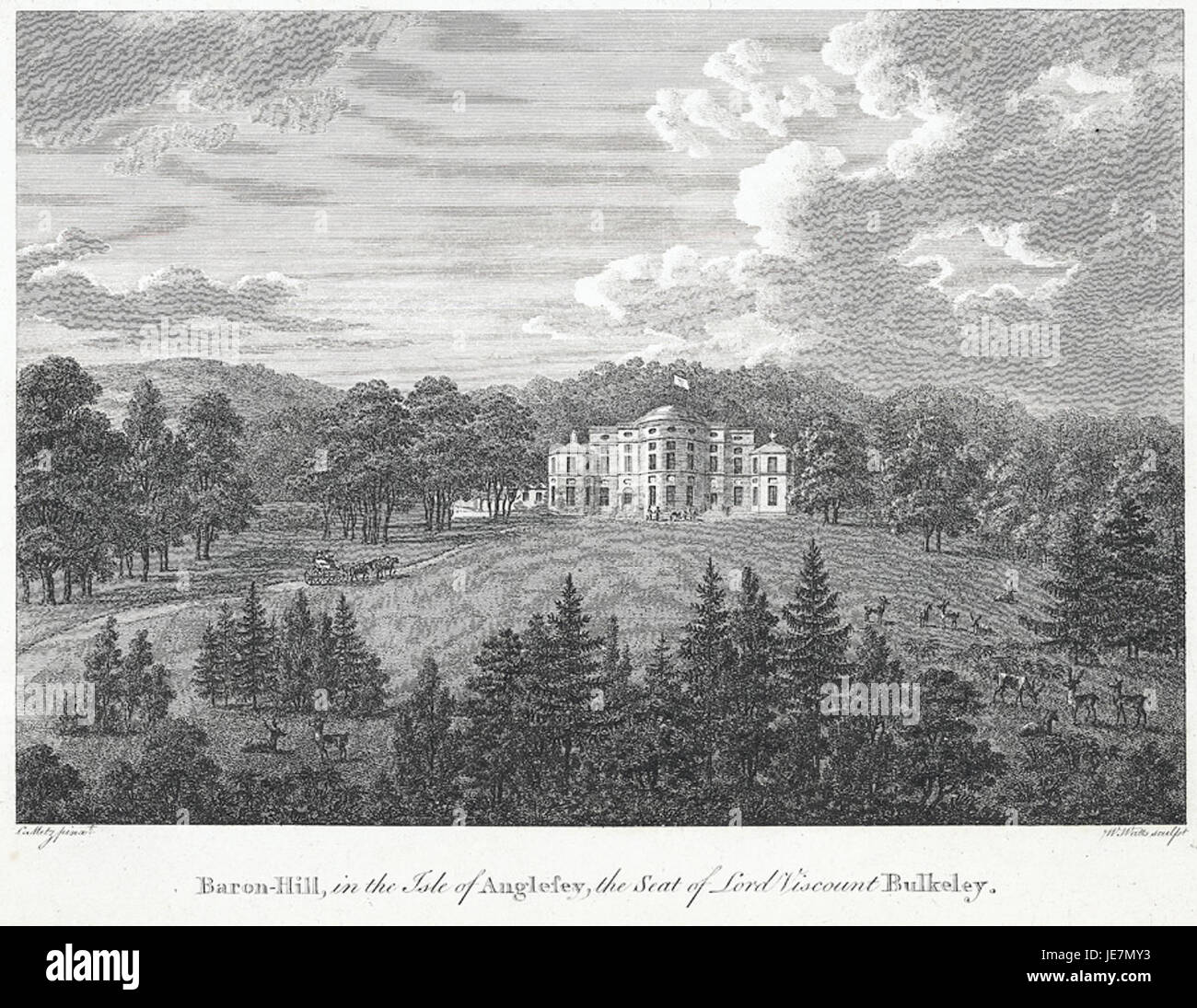 Baron Hill, situé sur l'île d'Anglesey, au pays de Galles, est un domaine historique et le siège ancestral du lord vicomte Bulkeley. Le domaine est connu pour son architecture et ses jardins. Banque D'Images