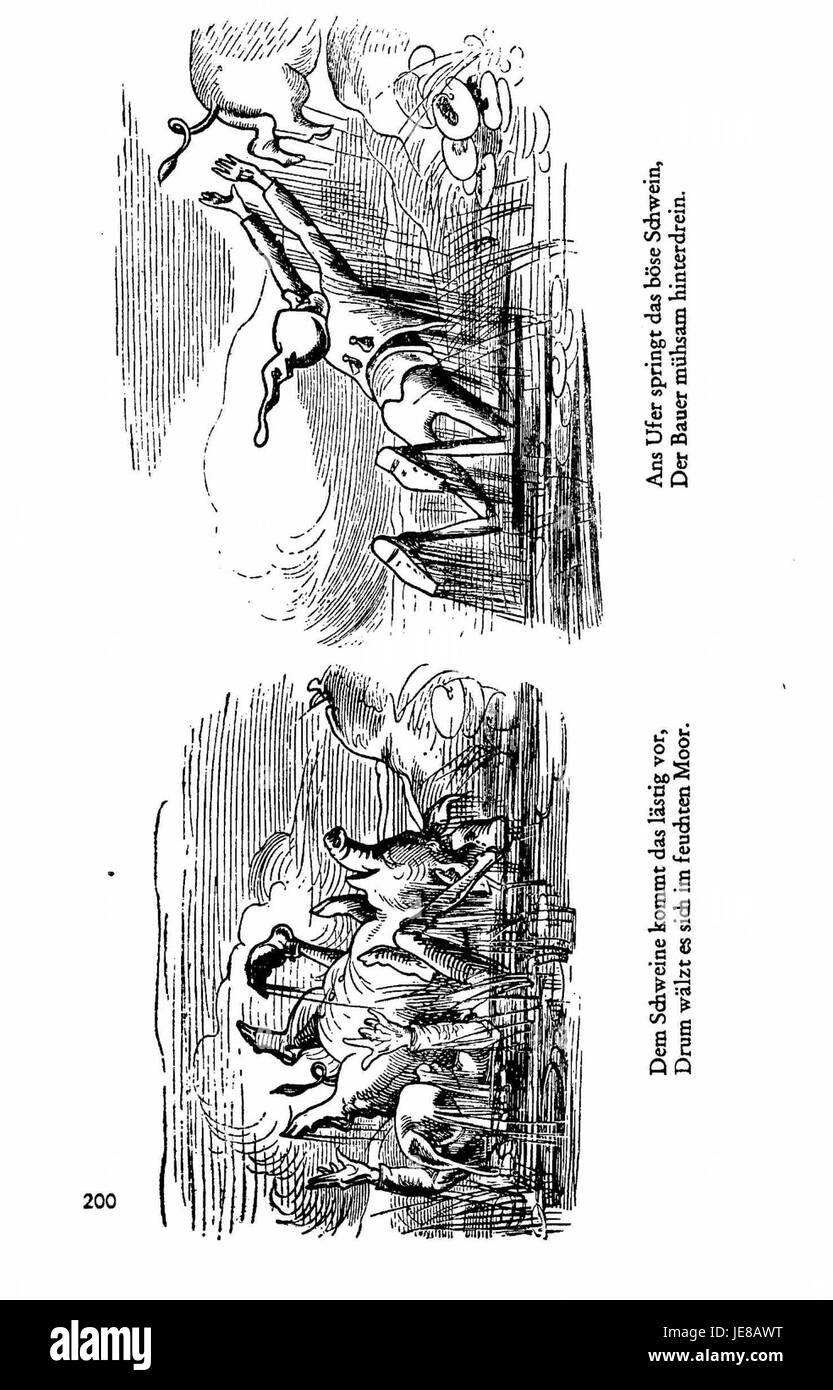La série 'Busch Werke', volume 1, page 194, présente des études botaniques, centrées sur des espèces végétales spécifiques et leur classification, offrant un examen détaillé à des fins académiques et scientifiques. Banque D'Images