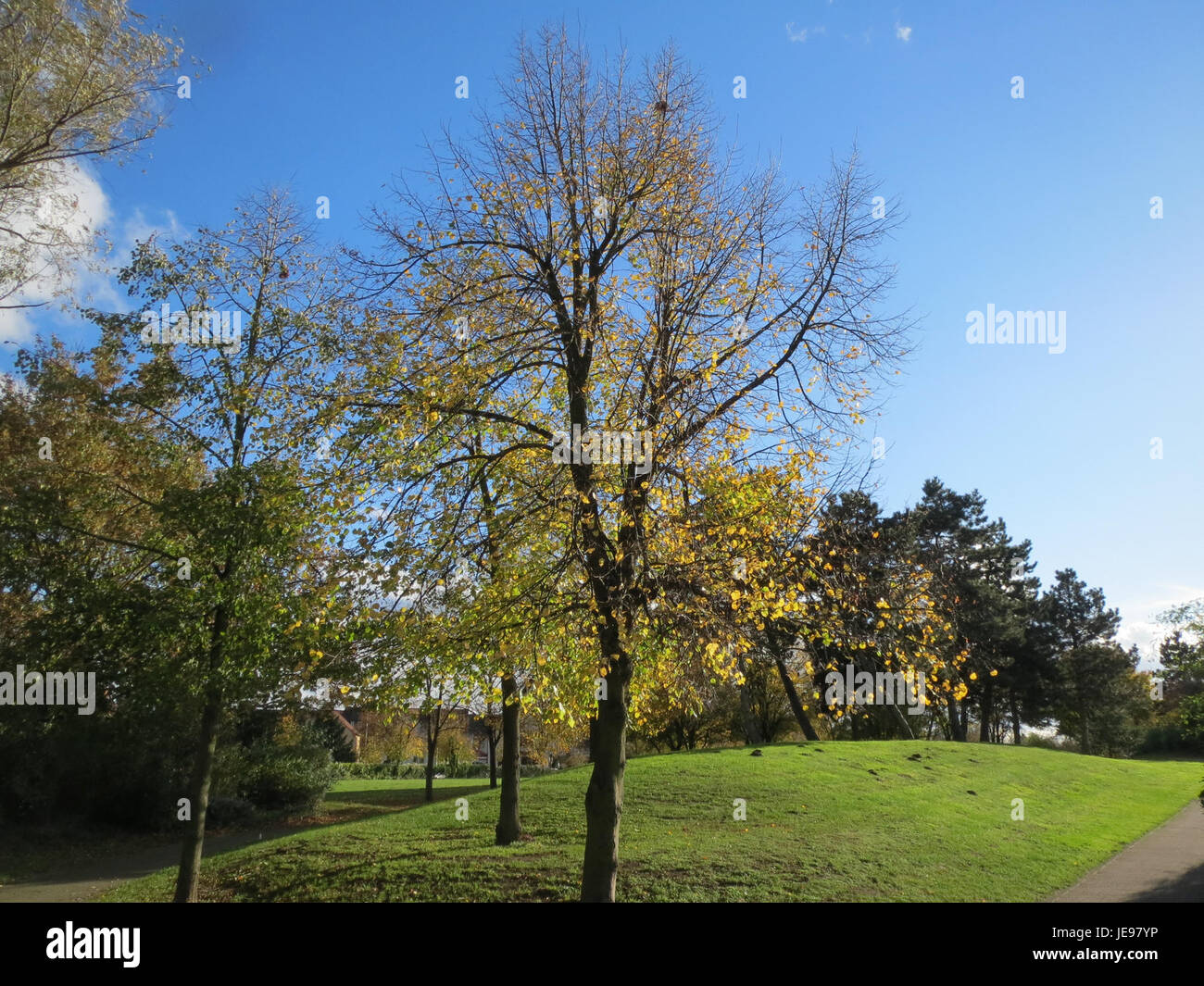 Cette photographie prise le 9 novembre 2013 montre un chariot élévateur Linde sur le site de Hockenheim, utilisé à des fins industrielles et de manutention dans un environnement logistique. Banque D'Images