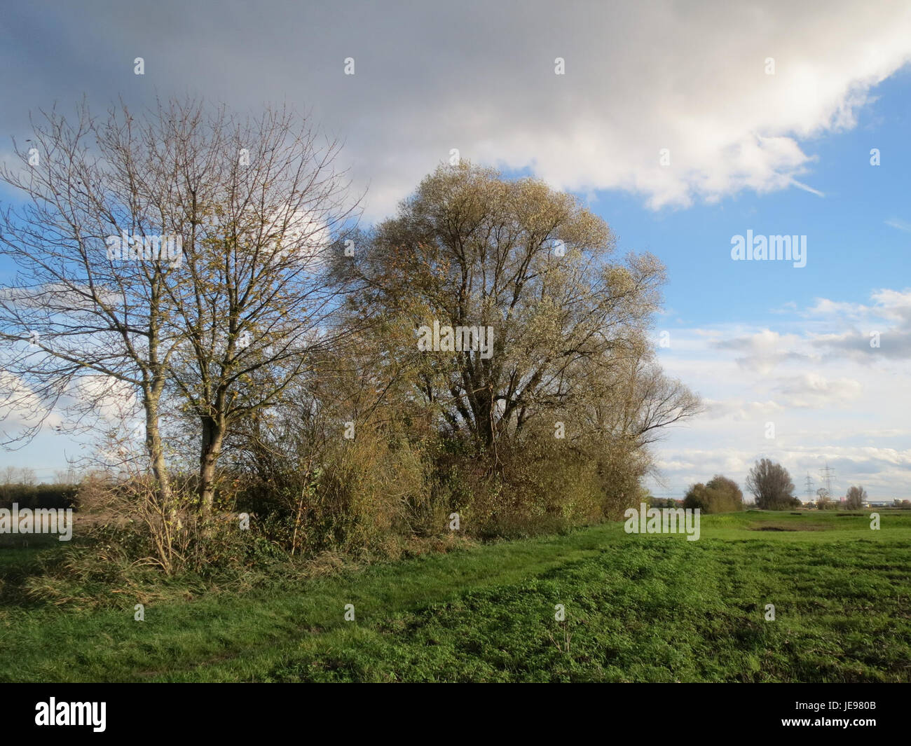 Une photographie prise le 9 novembre 2013, capturant Karl-Ludwig-See. L'image dépeint le sujet dans un cadre naturel, offrant un instantané visuel d'un moment précis. Banque D'Images