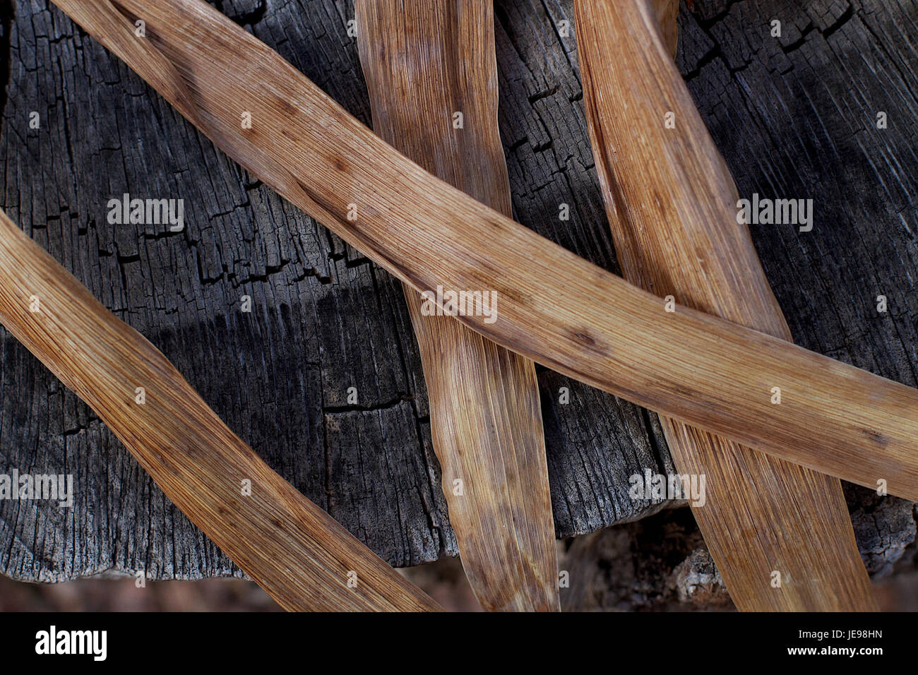 Cette image fait partie de la série « bandes et temps » de 2013, illustrant le lien entre le temps et la musique à travers la représentation visuelle. Il explore l’intégration de la perception du son et du temps dans un format artistique. Banque D'Images
