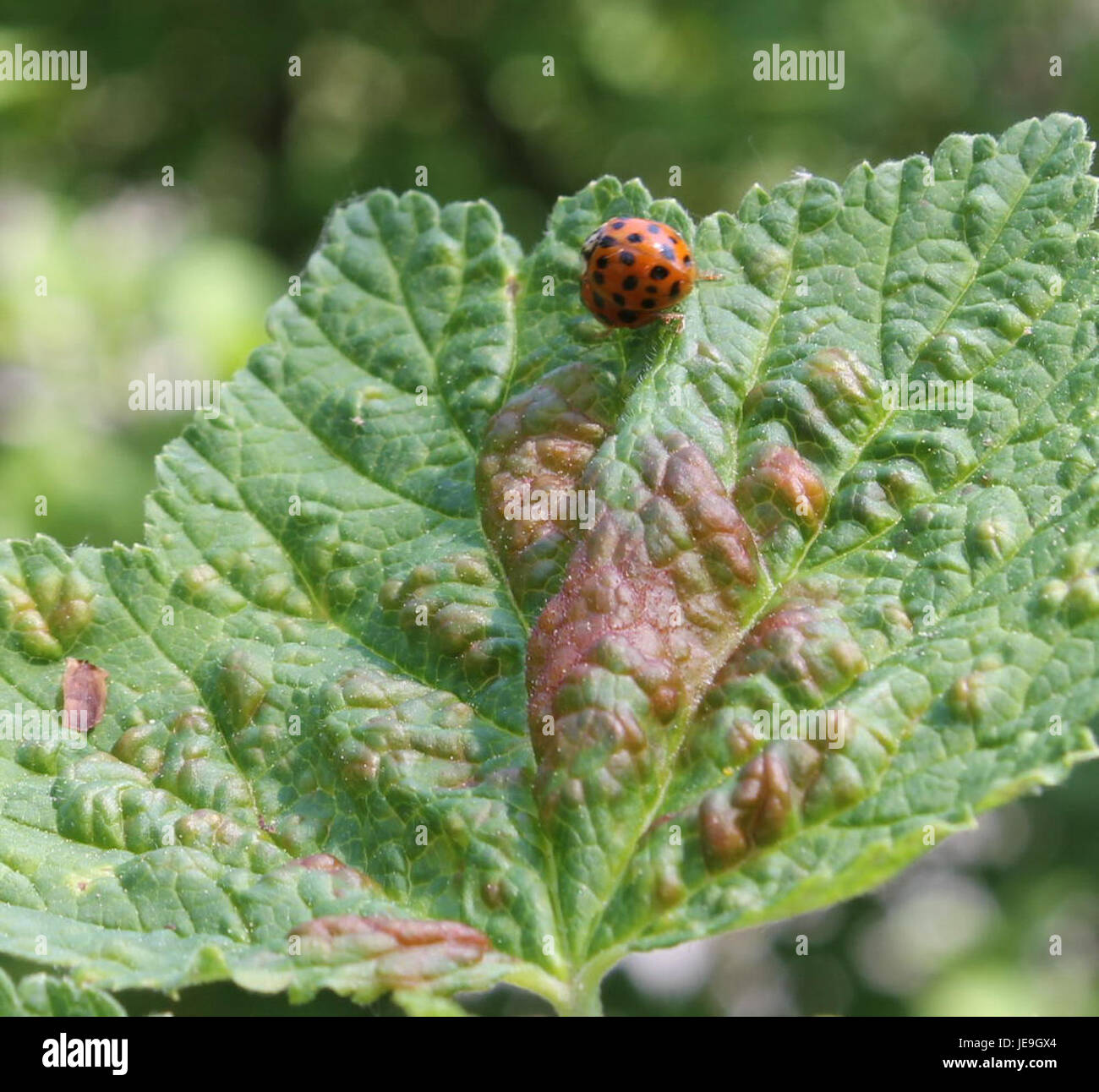 Photographie prise le 2 mai 2014, montrant une vue panoramique, possiblement depuis un point de repère culturel ou naturel, mettant l'accent sur des caractéristiques ou des sujets spécifiques. Banque D'Images