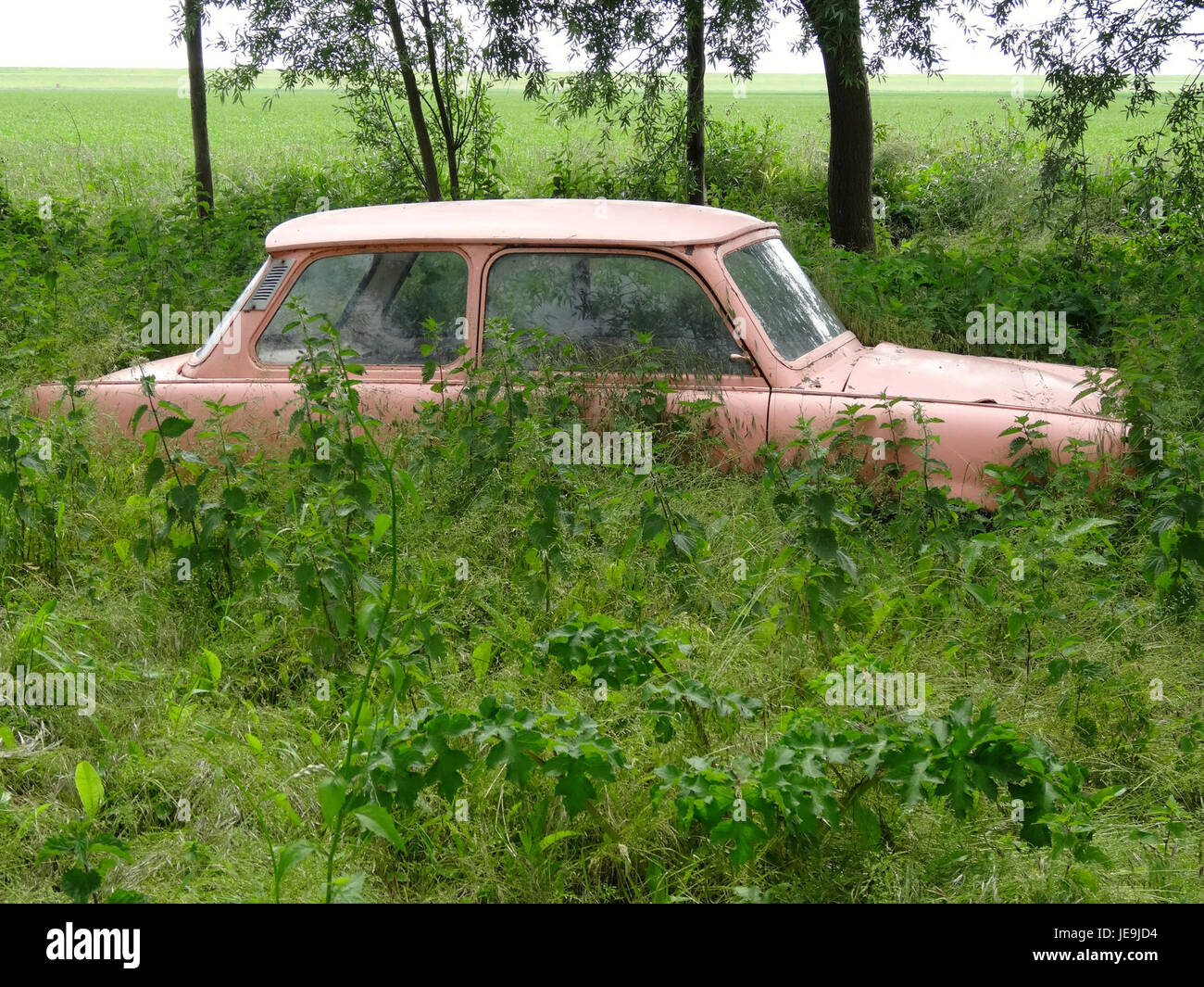 'Trabant in de klei' de Willem Hoogeveen représente une voiture Trabant coincée dans la boue, reflétant les défis posés par l'utilisation d'une voiture emblématique de l'Allemagne de l'est dans des conditions difficiles. L'image illustre le design unique du véhicule et son importance culturelle. Banque D'Images