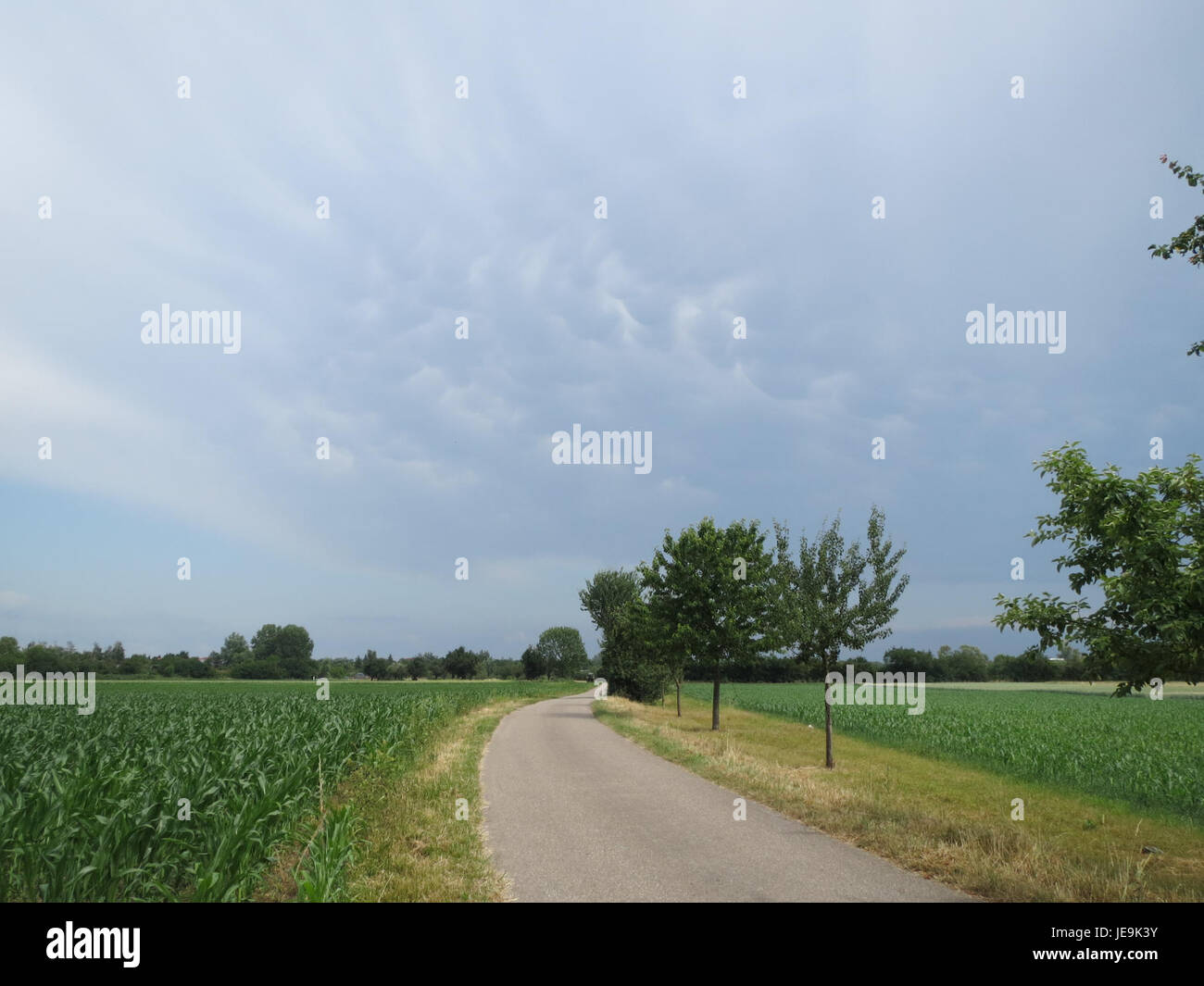Cette photographie capture une tempête violente (moins humide) à Hockenheim, en Allemagne, montrant les conditions météorologiques intenses typiques des orages estivaux en Europe centrale. Banque D'Images Cette photographie capture une tempête violente (moins humide) à Hockenheim, en Allemagne, montrant les conditions météorologiques intenses typiques des orages estivaux en Europe centrale. Banque D'Images