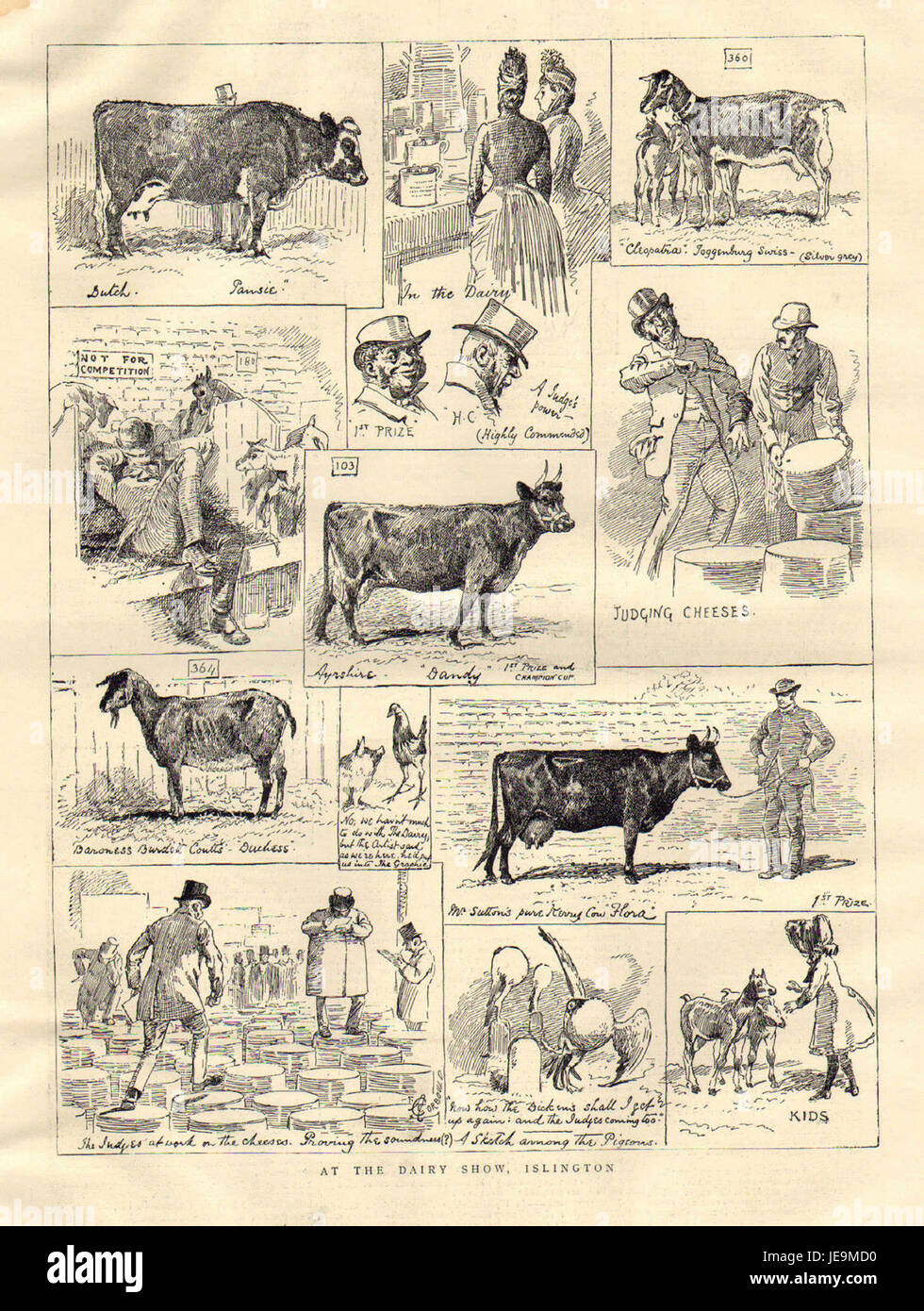 Les bovins laitiers au Show, Islington ; le graphique, 1887 Banque D'Images