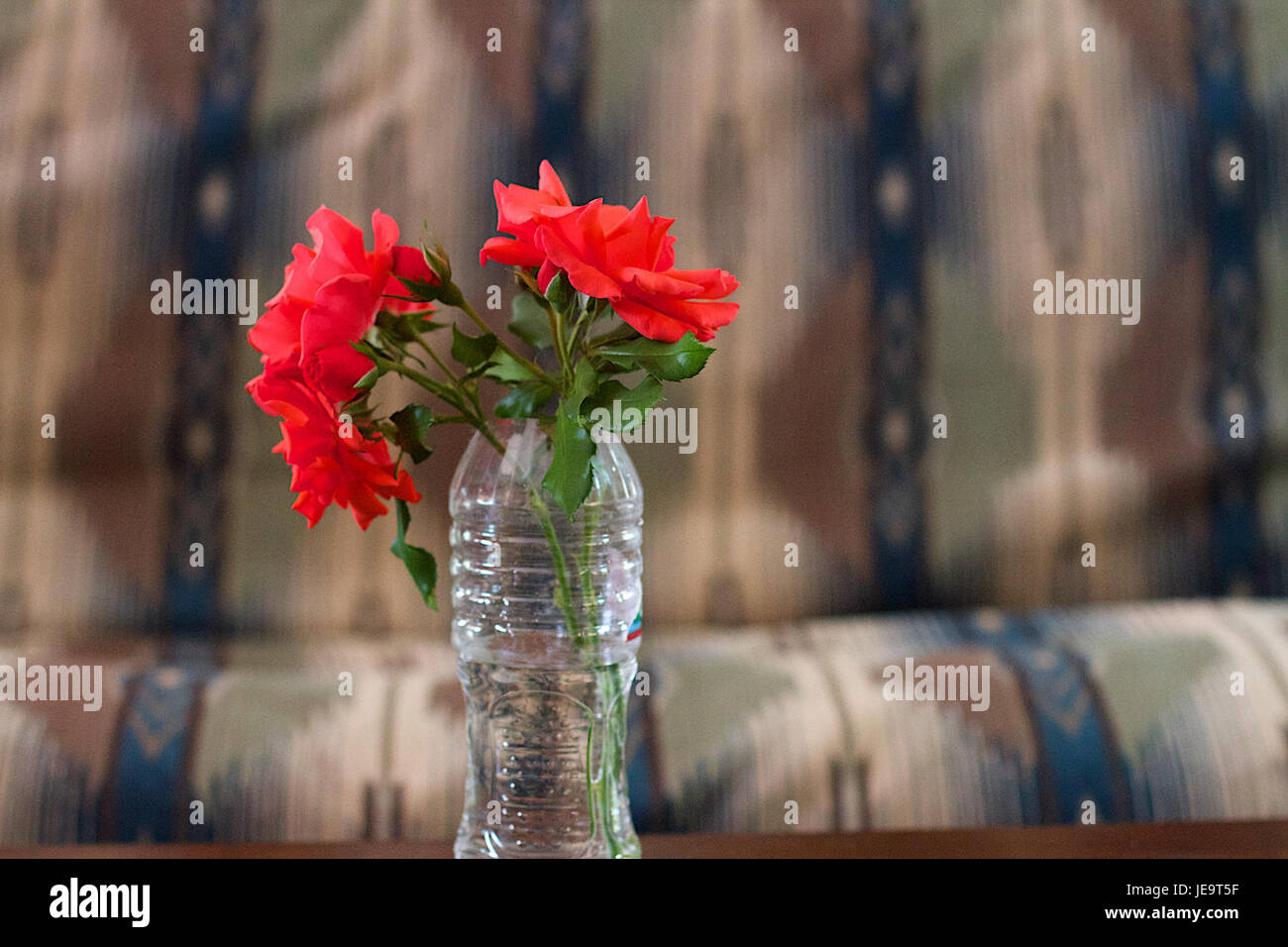 L'image présente une histoire de roses capturée en 2014, mettant en valeur la signification symbolique et esthétique des roses dans l'art, la culture et la nature. La rose est souvent utilisée pour représenter la beauté, l'amour et les émotions complexes dans divers contextes. Banque D'Images