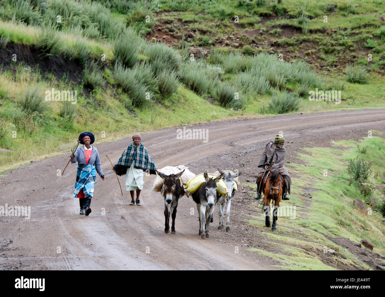 Trois agriculteurs avec des ânes chargés de l'Afrique australe Lesotho Thaba-Tseka Banque D'Images