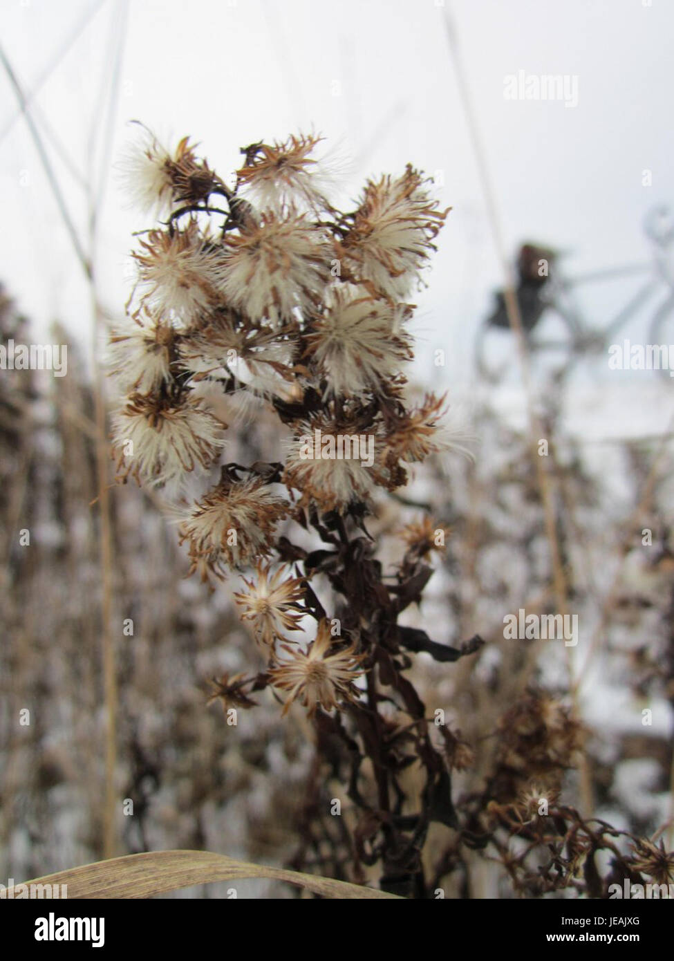 L'événement Feinstrahl Hockenheim en 2013 présente des véhicules de haute performance sur un circuit professionnel en Allemagne, mettant en avant une compétition intense et une conduite de précision. Banque D'Images
