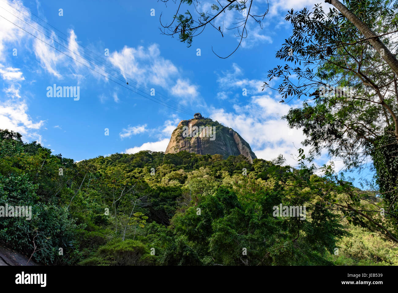 La colline du Pain de sucre sur la forêt tropicale sur Rio de Janeiro, Brésil Banque D'Images