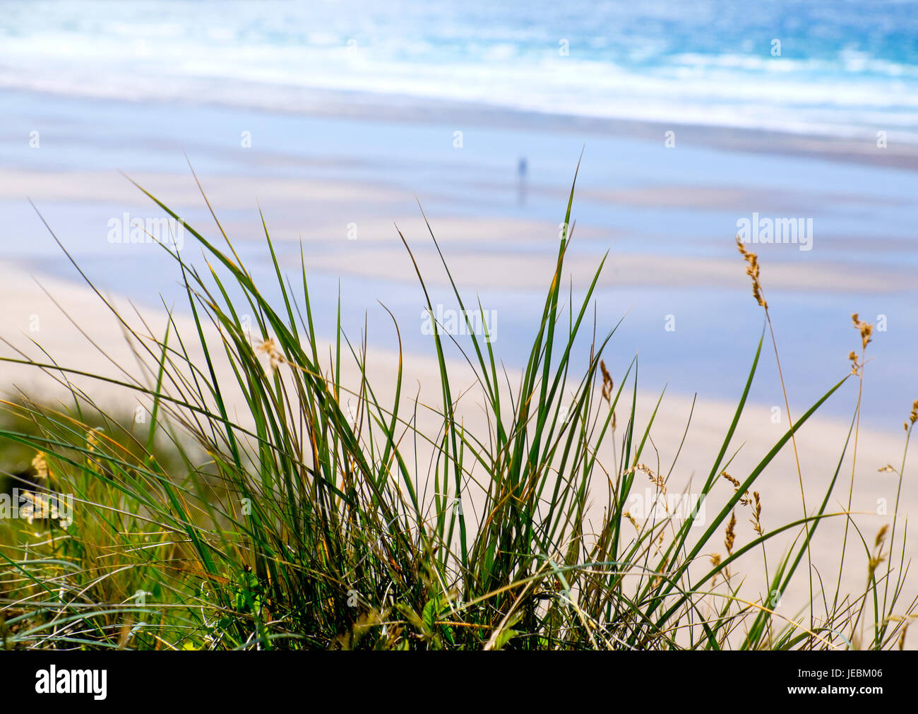 La figure solitaire sur Whitesands beach , Parc National de Pembrokeshire Coast, West Wales Banque D'Images