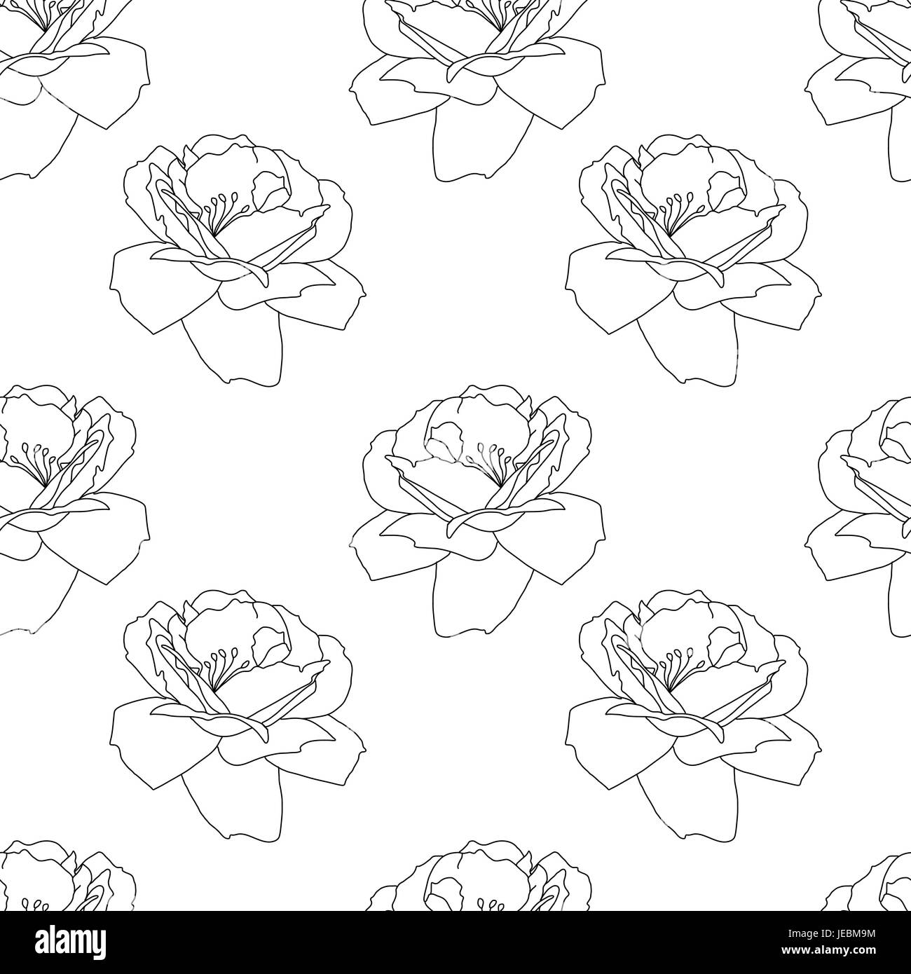 Beau motif transparent noir et blanc avec des roses. Style croquis fleurs monochromes arrière-plan. La texture des fleurs. Illustration de Vecteur