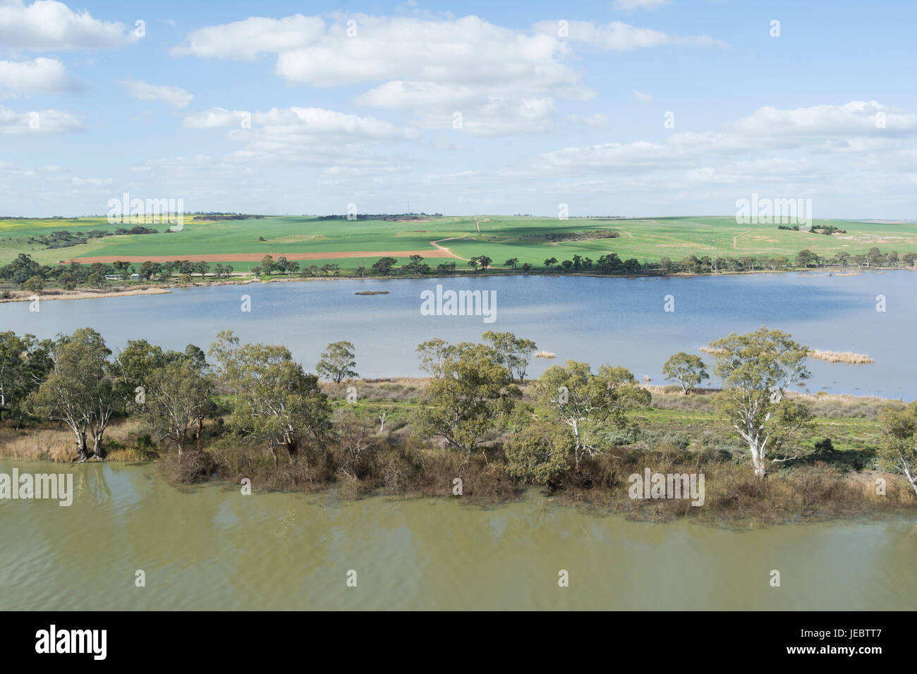Murray River, avec des banques et bordée de champs rurales à et autour de jeunes époux, dans le sud de l'Australie Banque D'Images