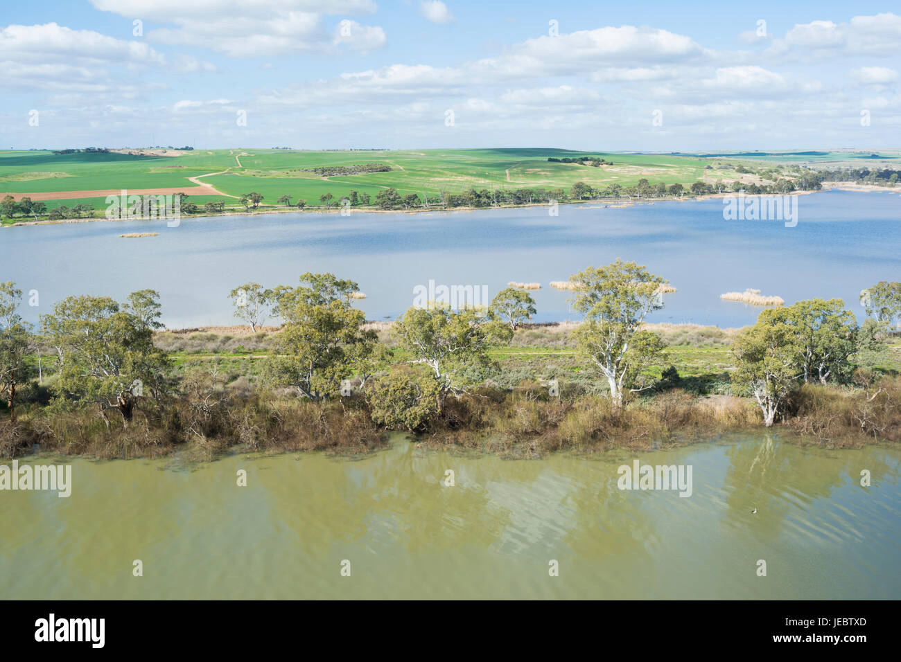 Murray River, avec des banques et bordée de champs rurales à et autour de jeunes époux, dans le sud de l'Australie Banque D'Images