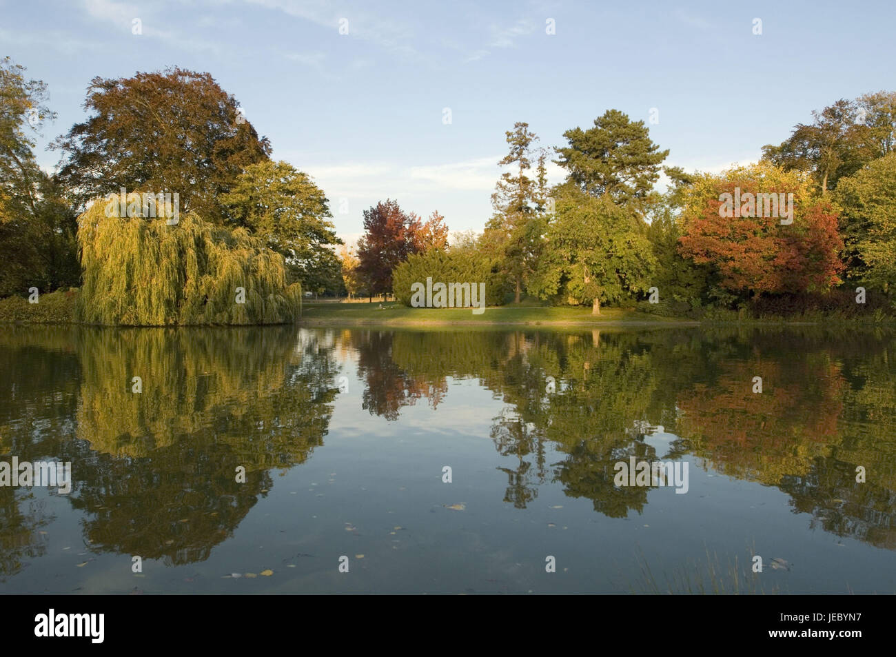 France, Paris, Bois de Vincennes, lac Daumesnil, rive, arbres, autumnally, Banque D'Images