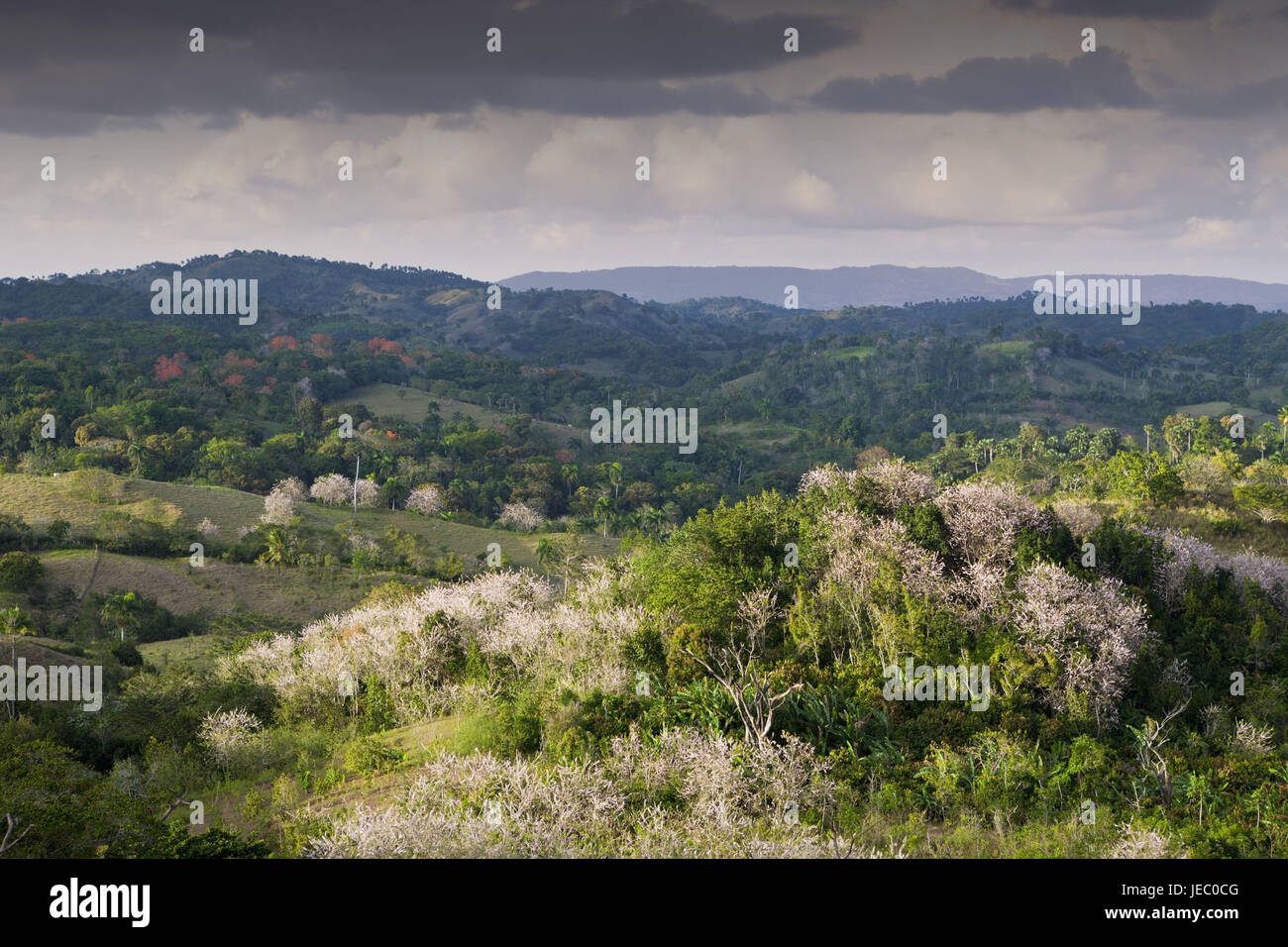 Paysages de la colline dans l'arrière-pays, Punta Rucia, la République dominicaine, Banque D'Images