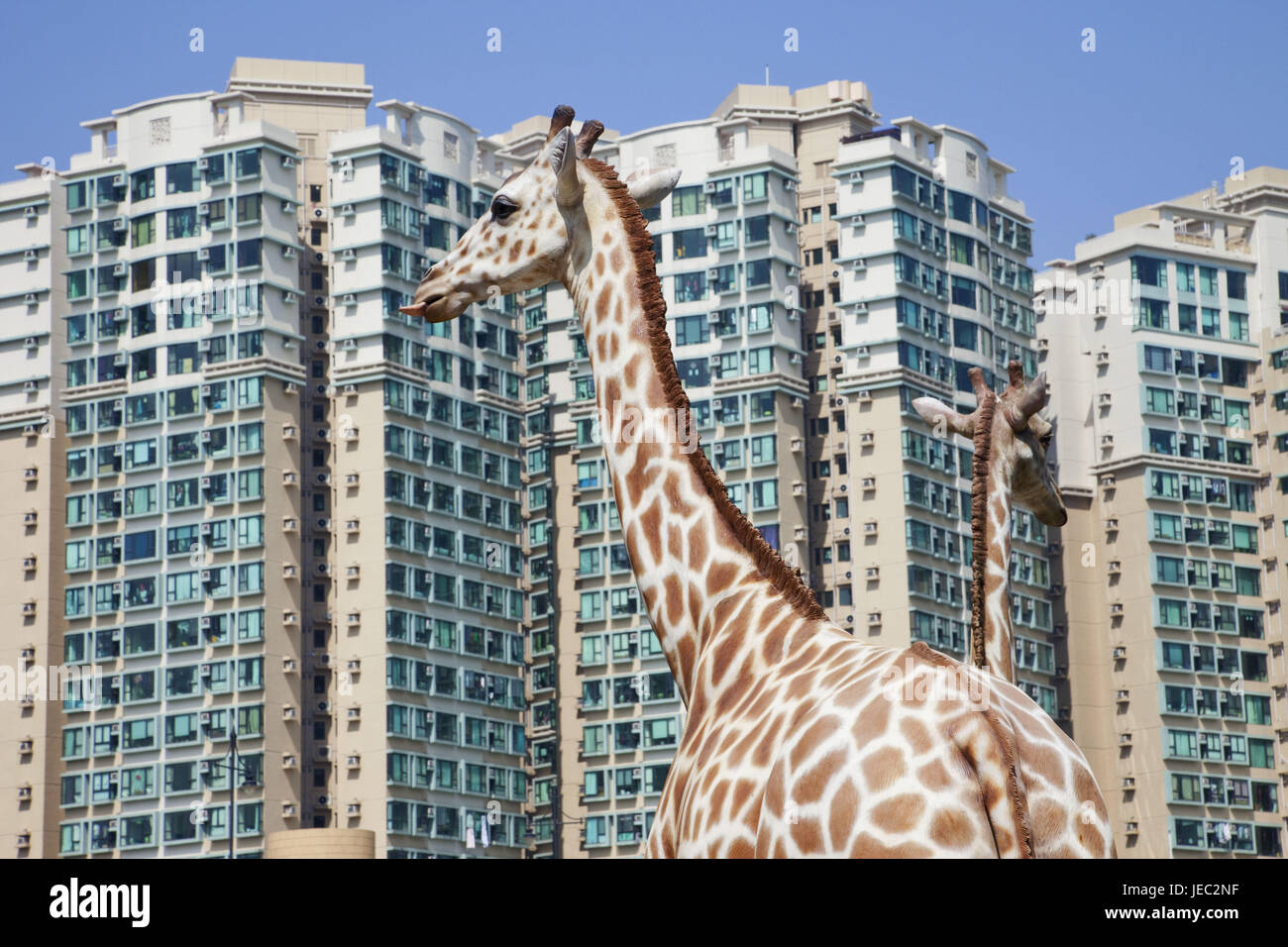 La Chine, Hong Kong, Islande, parc des sculptures des girafes dans l'arche de Noé, des tours en arrière-plan, Banque D'Images