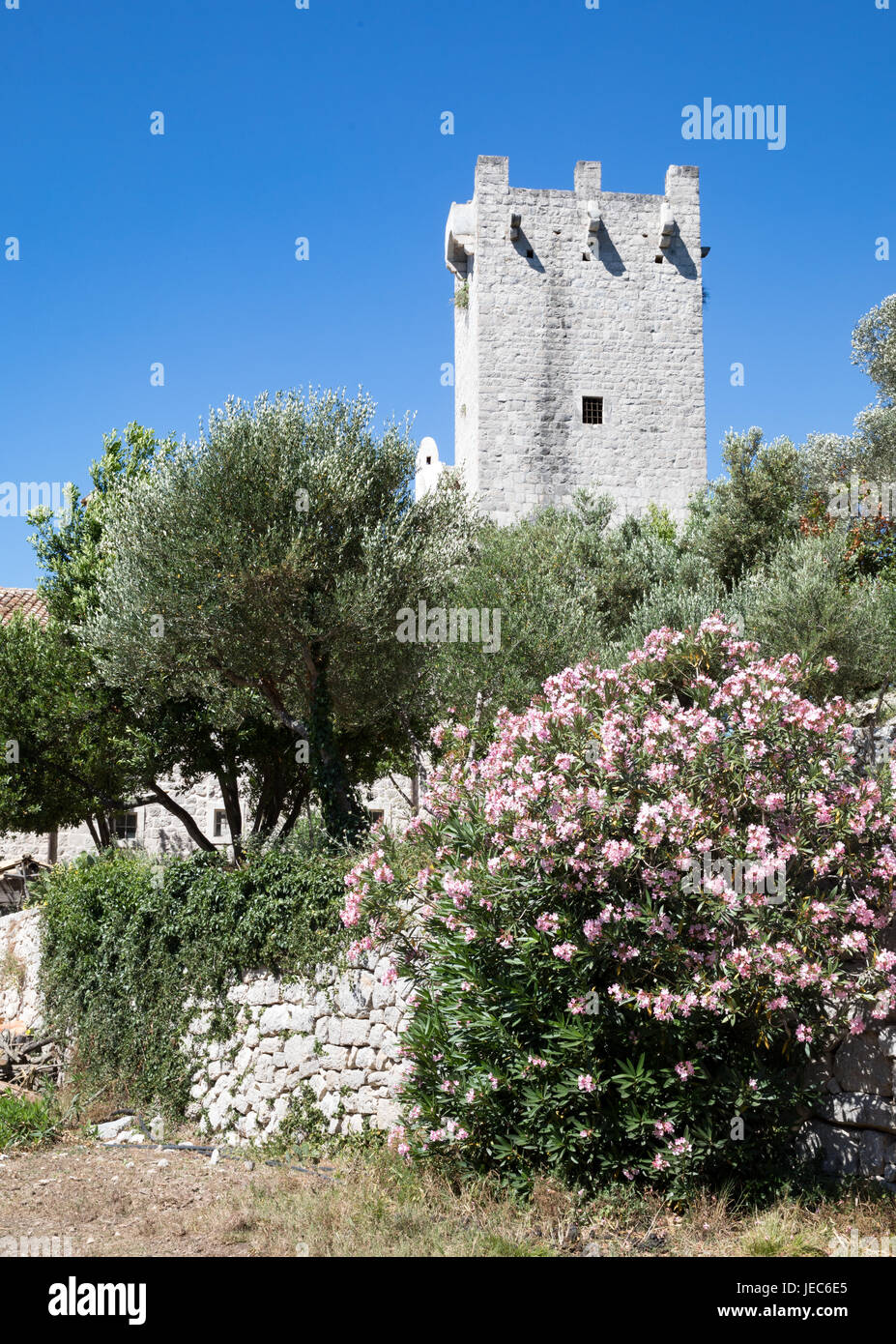 Monastère bénédictin de St Mary sur l'île de St Mary's à Jezero lac mer sur l'île de Mljet l'île de la côte Dalmate en Croatie Banque D'Images