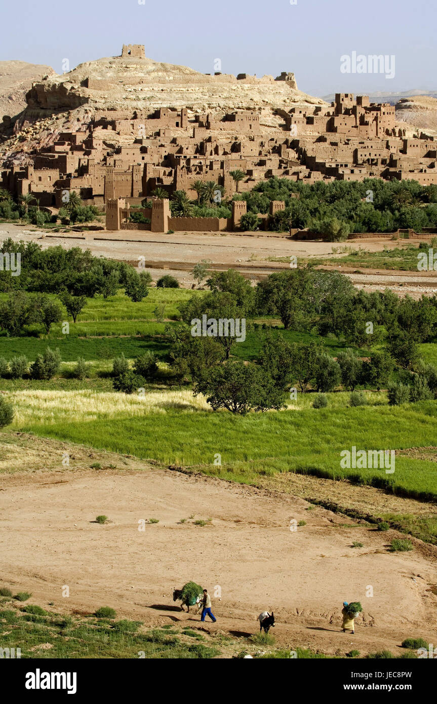 Le Maroc, Aït-Ben-Haddou, vue locale, de champs, de paysages, de l'Afrique, Afrique du Nord, l'endroit, Ksar, maisons, mucky méthode de construction, généralement, typiquement pour des pays, mucky maisons, l'architecture, l'architecture, de la végétation, sale à l'extérieur, point d'intérêt, à l'UNESCO patrimoine culturel mondial, la destination, l'agriculture, pion, âne, Banque D'Images