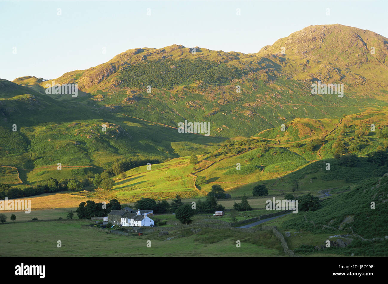 La Grande-Bretagne, l'Angleterre, Cumbria, District de saumure, ferme, paysage, Europe, de largeur, de distance, montagne, colline, meadows, vert, maison, ferme, l'architecture, murailles, remparts en pierre, vue, en milieu rural, à distance, ombragé, ensoleillée, lumière du matin, Banque D'Images