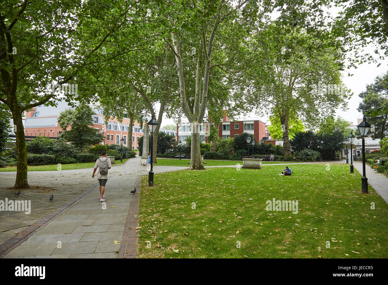 Dovehouse Green, Londres, UK Banque D'Images