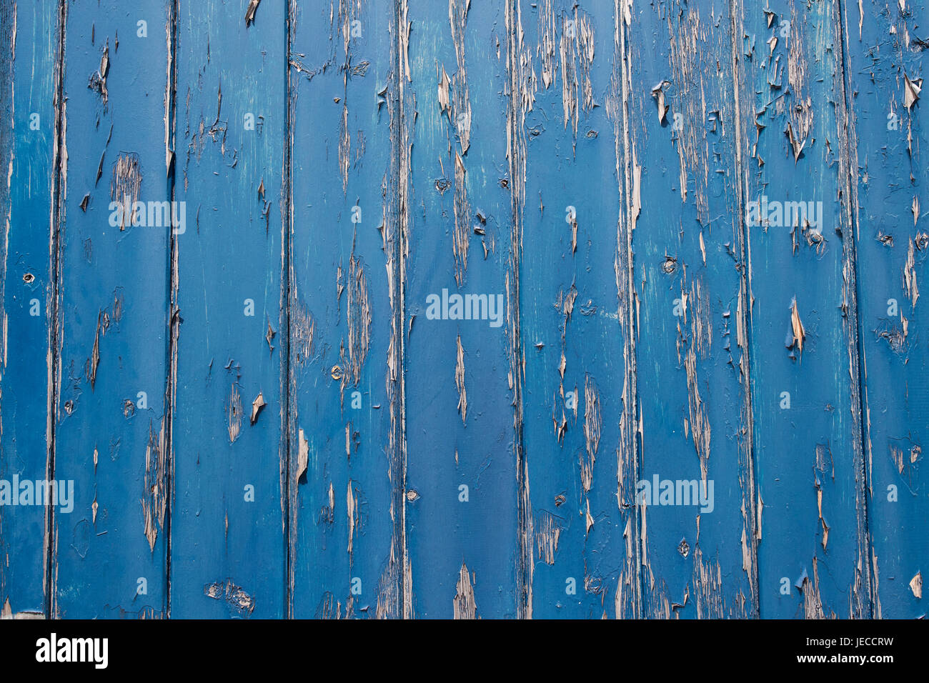 L'écaillage de la peinture sur la porte en bois bleu Banque D'Images