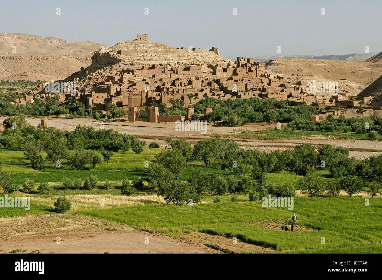 Le Maroc, Aït-Ben-Haddou, vue locale, de champs, de paysages, de l'Afrique, Afrique du Nord, l'endroit, Ksar, maisons, mucky méthode de construction, généralement, typiquement pour des pays, mucky maisons, l'architecture, l'architecture, de la végétation, sale à l'extérieur, point d'intérêt, à l'UNESCO patrimoine culturel mondial, la destination, vue, Banque D'Images