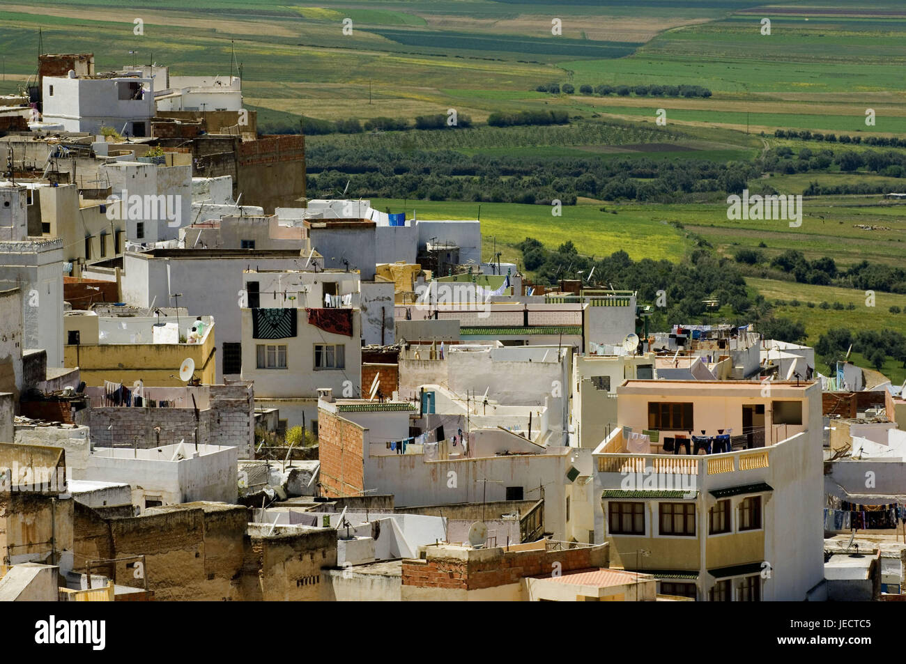 Le Maroc, Moulay Idriss, vue sur ville, Afrique, Afrique du Nord, de la ville, lieu de pèlerinage, les maisons, les bâtiments, l'architecture, les maisons d'habitation, l'arrière-plan, paysage, champs, vue, Banque D'Images