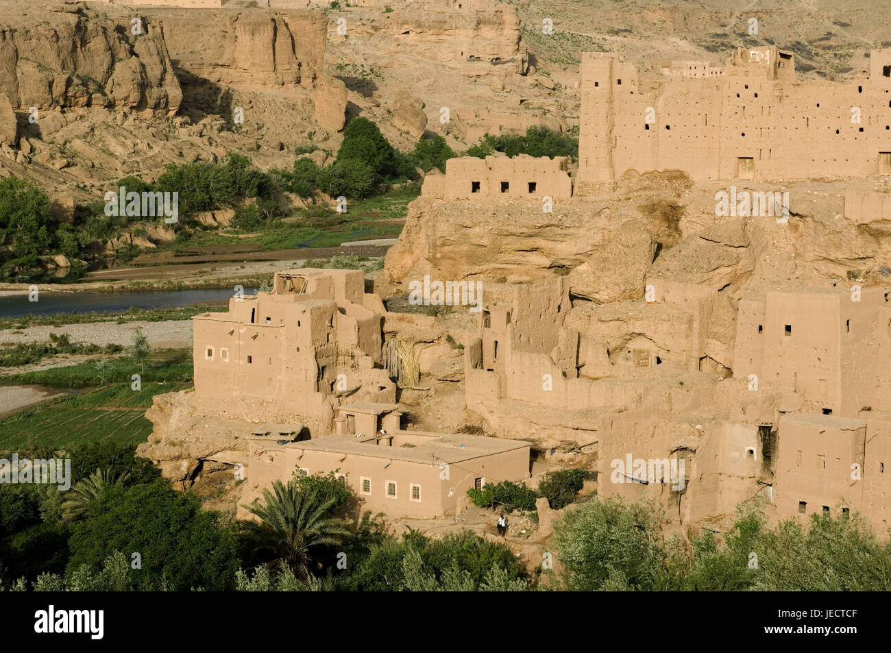 Le Maroc, Kelaat M'Gouna, vue sur ville, maisons, détail, Afrique, Afrique du Nord, Dadestal, la destination, le lieu d'intérêts, oasis, oasis, des maisons résidentielles, mucky maisons, mucky méthode de construction, la végétation, vue, déserte, Banque D'Images