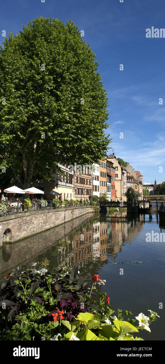 France, Alsace, Strasbourg, l'hébergement de la Petite, flux malade, l'Europe, ville, destination, partie de la ville, maisons, maisons, terrasse, arbre, arbre à feuilles larges, street cafe, plantes, fleurs, s'épanouir, l'été, ensoleillé, à l'extérieur, l'eau, Banque D'Images