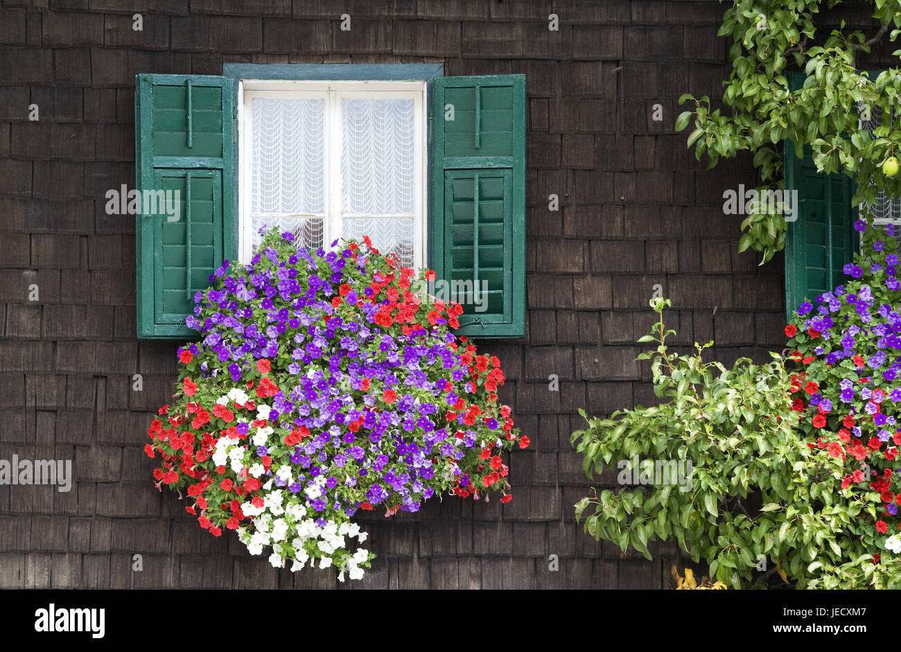 Autriche, Salzbourg, niveau région, matt lac, chambre, décoration florale, Banque D'Images