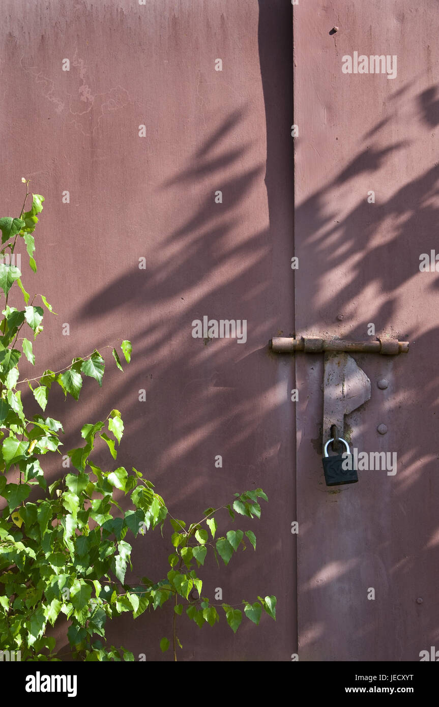 Les jeunes vieux bouleau avant porte en fer, close-up moyen, détail, Banque D'Images
