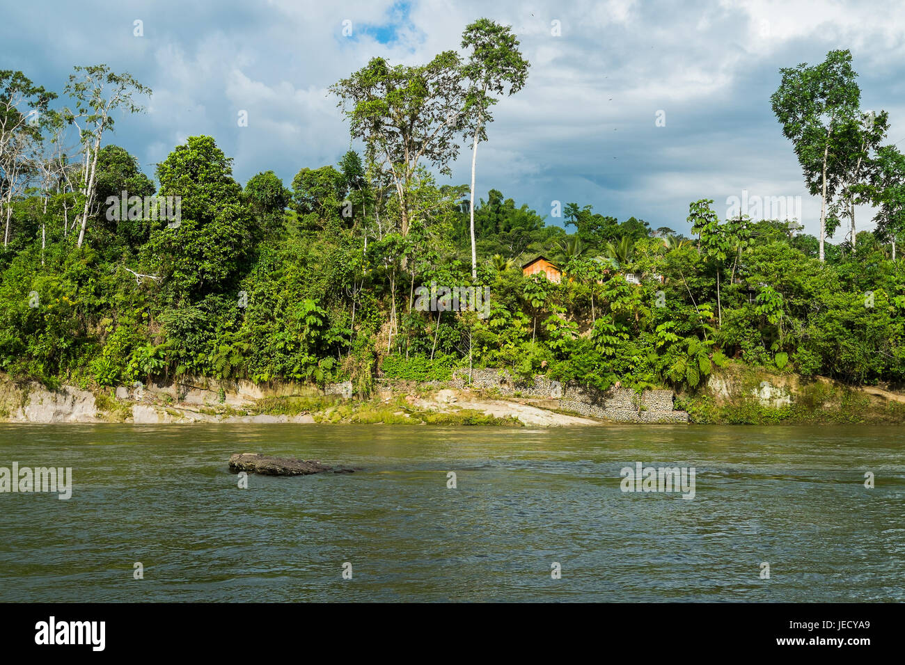 Rio Napo à Misahualli, Amazon, Equateur Banque D'Images