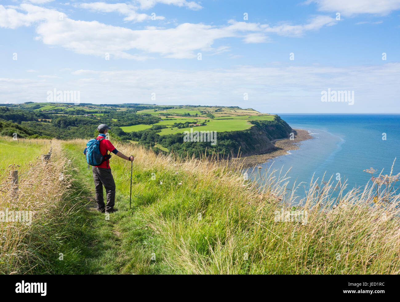 Male hiker sur l'article de la Cleveland Way National trail entre Scarborough et Robin Hoods Bay, North Yorkshire, Angleterre, Royaume-Uni Banque D'Images
