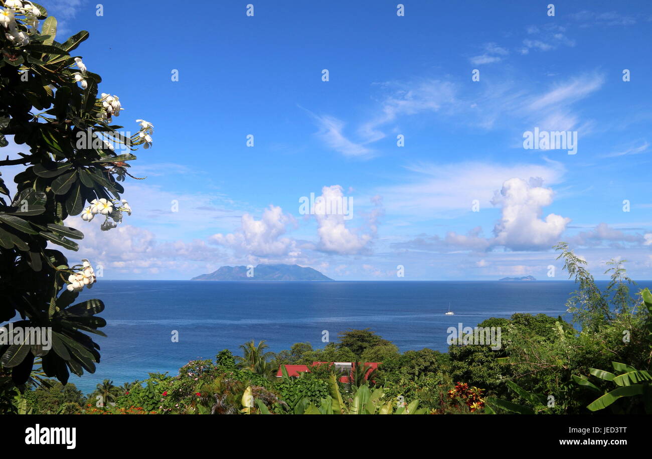 Ciel bleu sur l'île de Silhouette Banque D'Images