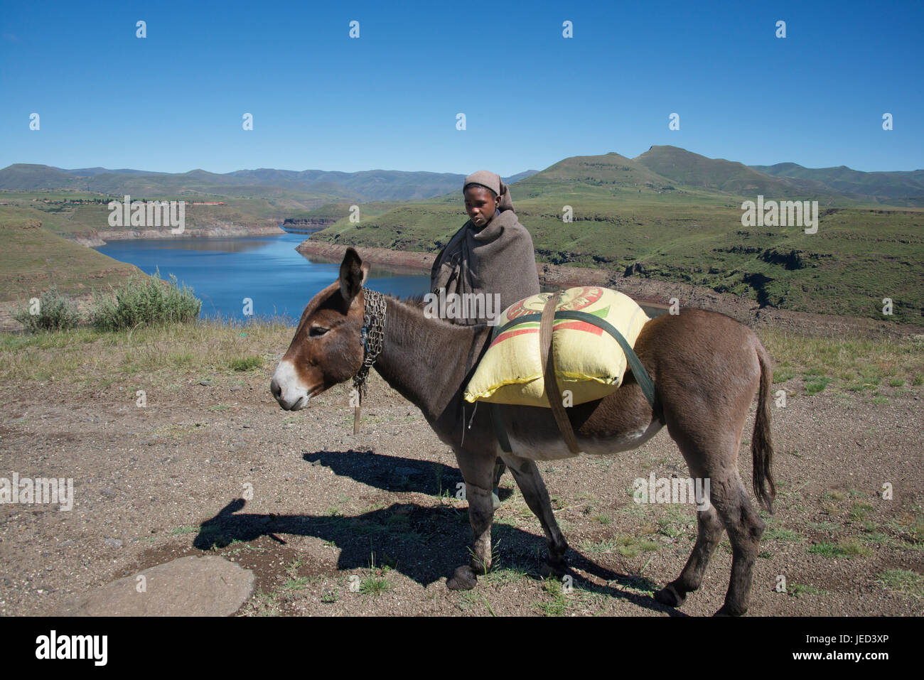 Homme avec âne chargé Barrage Katse Lesotho Afrique du Sud du réservoir Banque D'Images