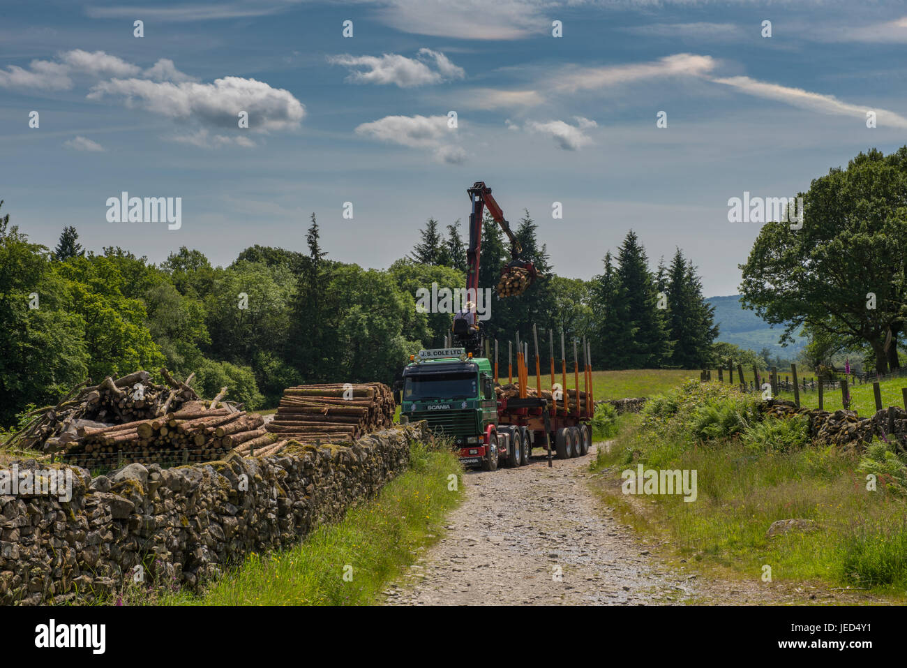 Un entrepreneur de transport du bois de chargement près de loin Sawrey dans South Lakeland Banque D'Images