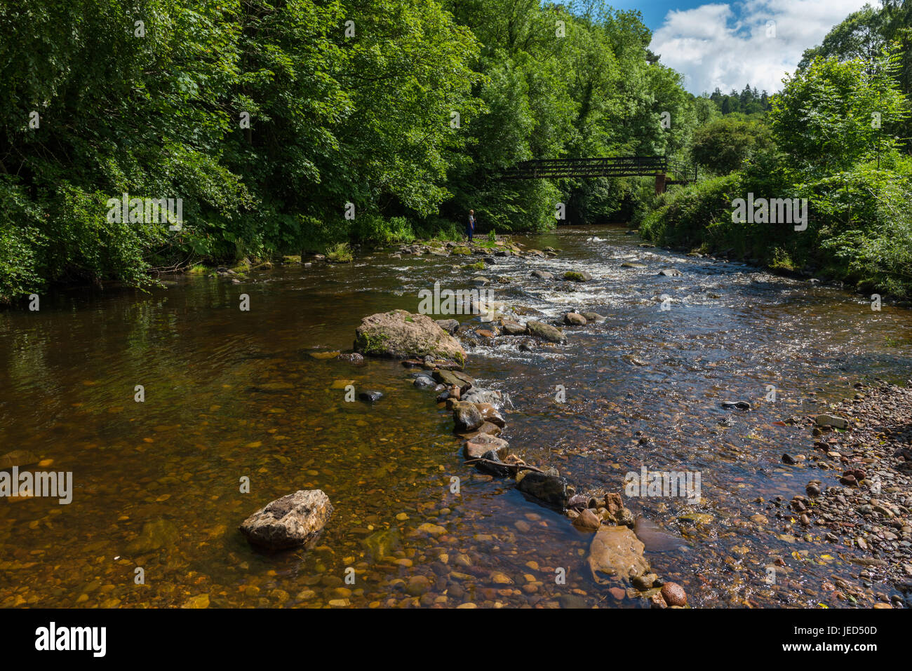 La rivière North Esk à Roslin Glen de Midlothian Ecosse Banque D'Images