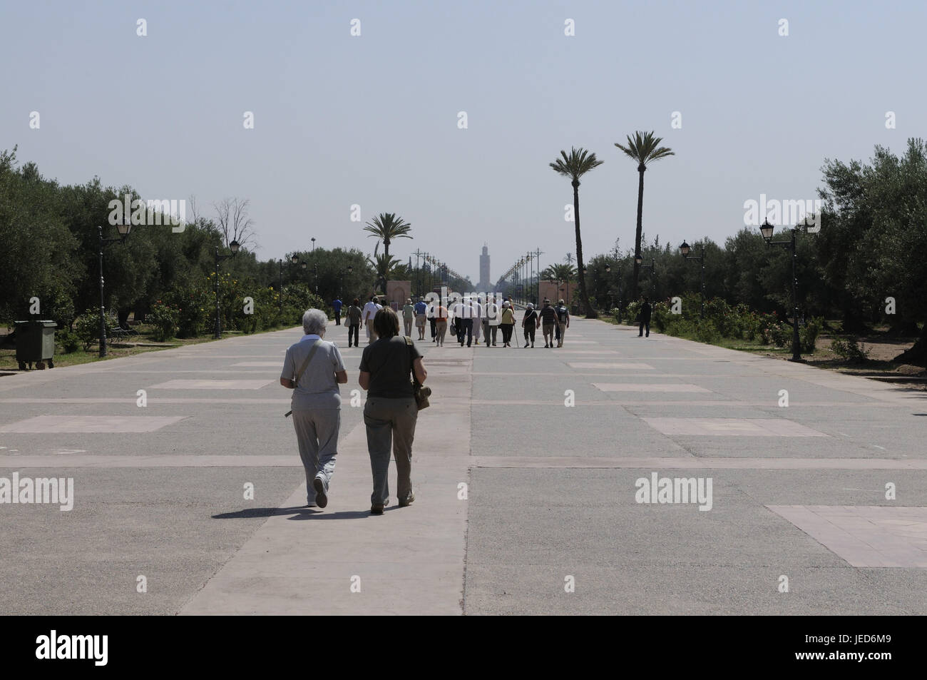 Jardin Ménara, jardin du roi, manière, visiteur, Marrakech, Maroc, Afrique, Banque D'Images