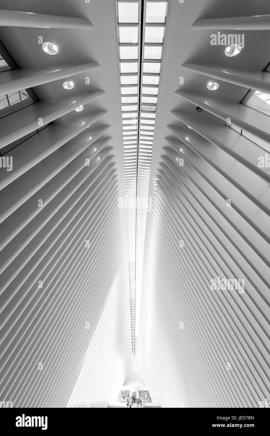 New York City, New York, USA. Août 24, 2016. L'Oculus, le nom commun de la structure qui abrite les magasins Westfield au WTC. Après les attentats, le World Trade Center shopping mall a été fermée jusqu'en 2016. Coût estimatif était de 4 milliards de dollars. Il sert également le chemin d'entrée du train. Credit : Sachelle Babbar/ZUMA/Alamy Fil Live News Banque D'Images