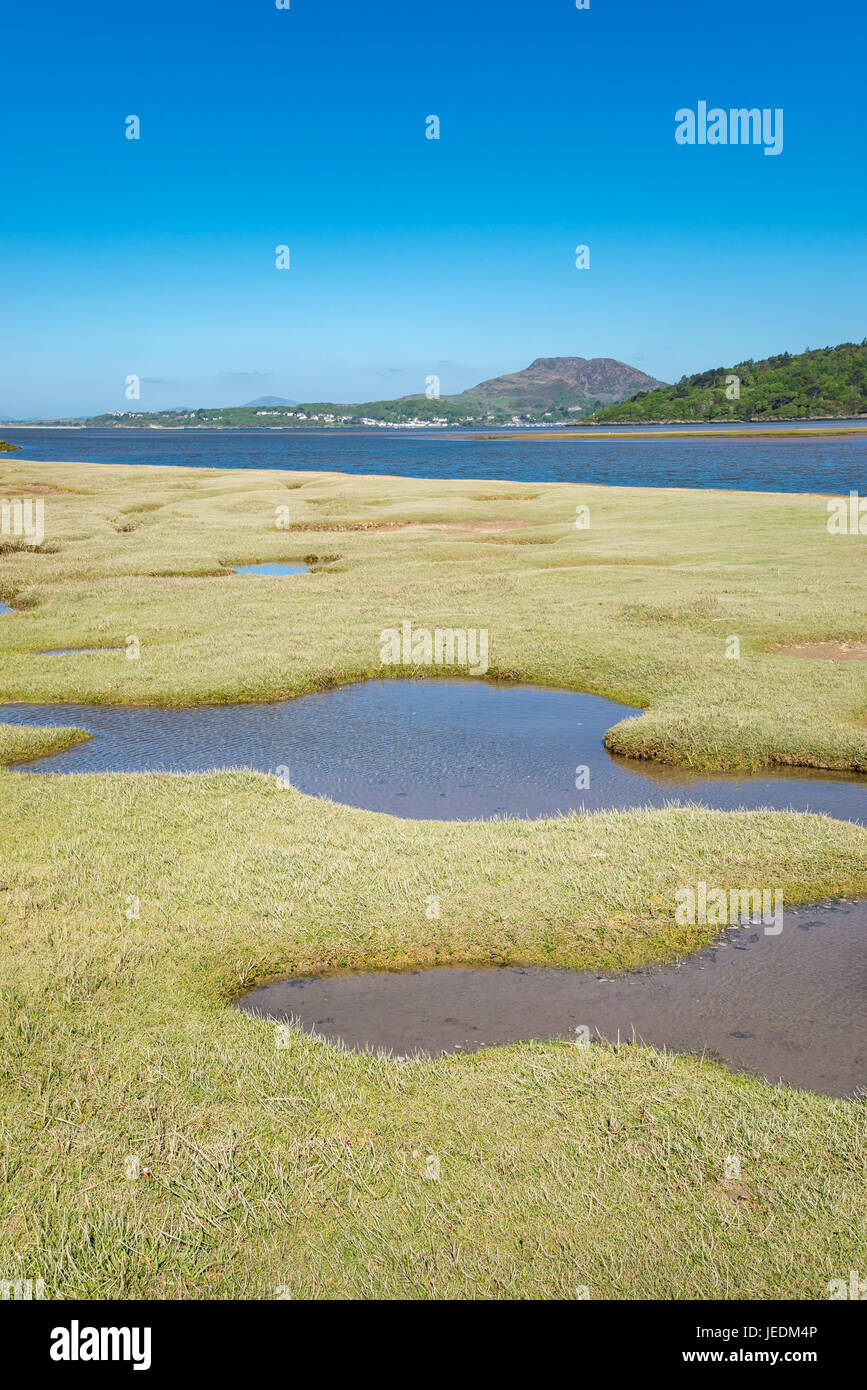 Morfa Harlech, une réserve naturelle sur la rive de la rivière Dwyryd dans le parc national de Snowdonia, le Pays de Galles. Banque D'Images