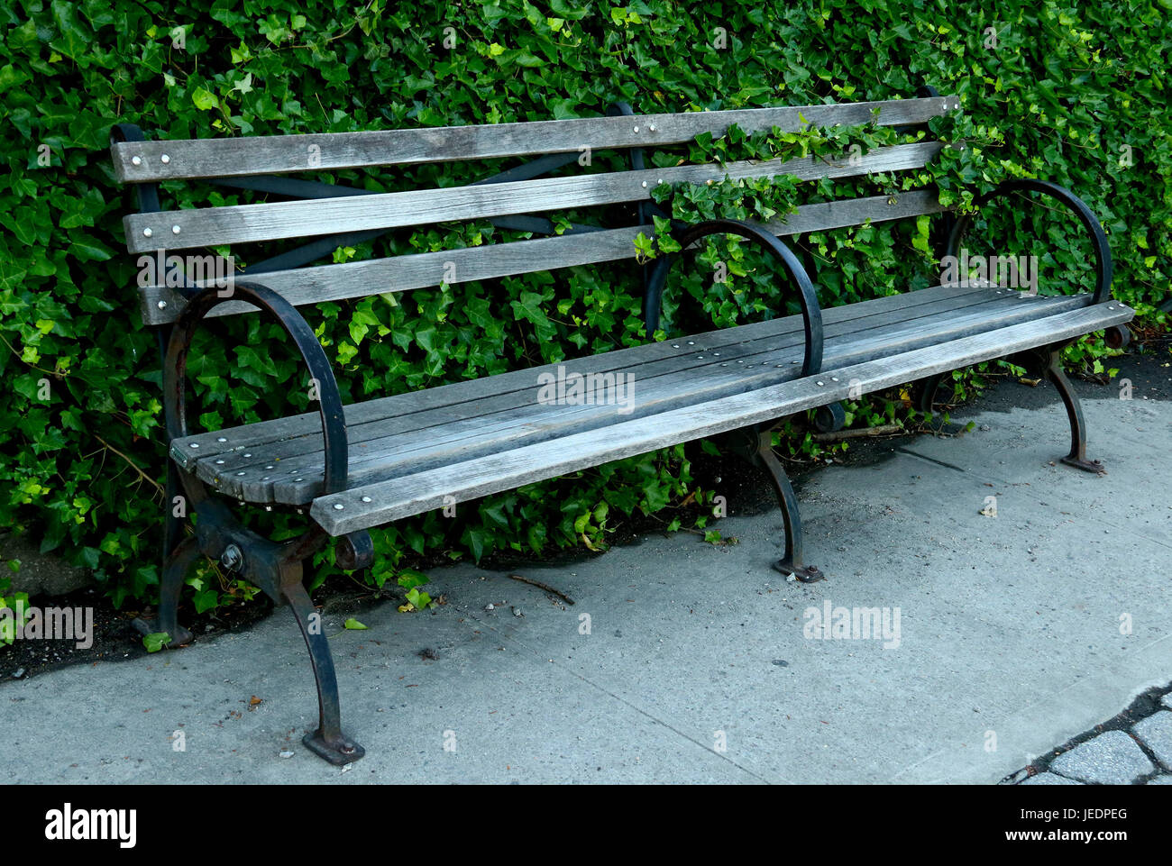 Des pics de Lierre était sur un banc de parc sur le trottoir Banque D'Images