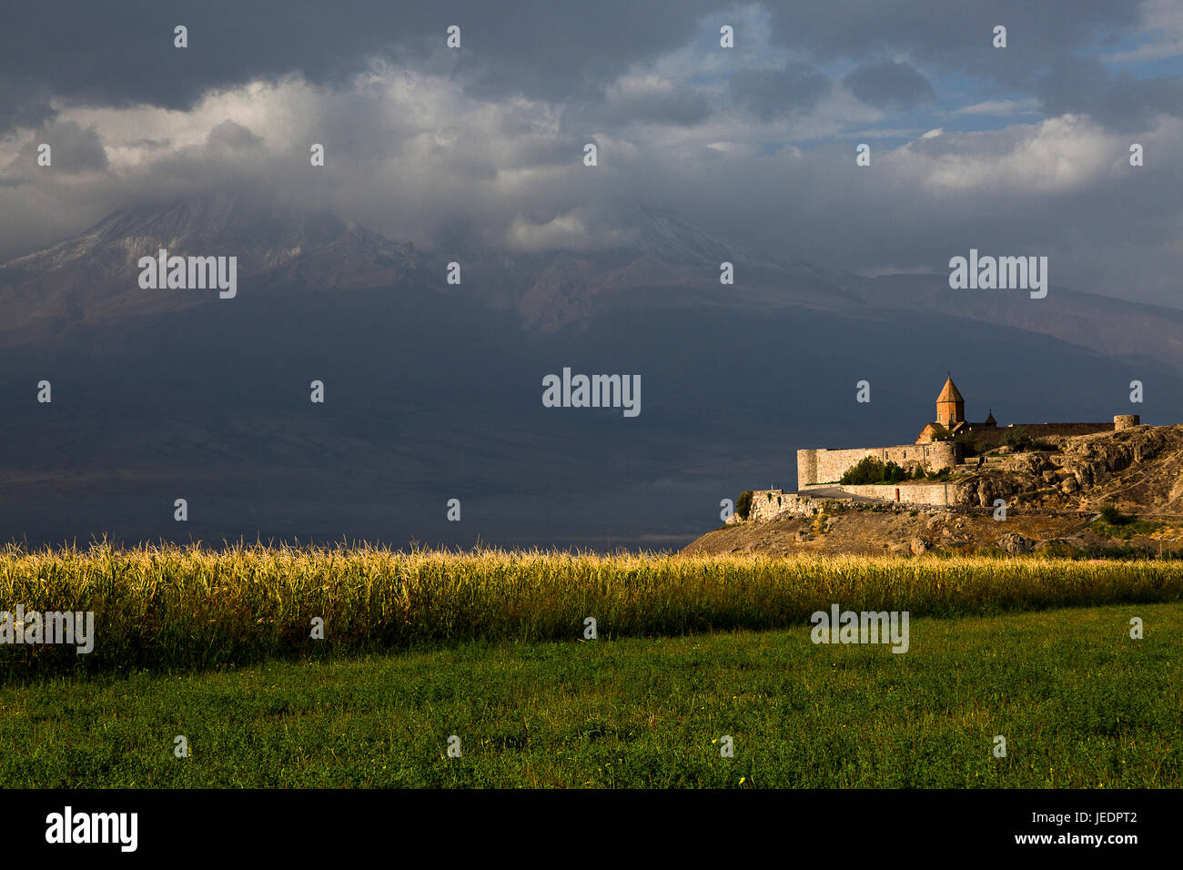 Monastère Khor Virap en Arménie. Banque D'Images