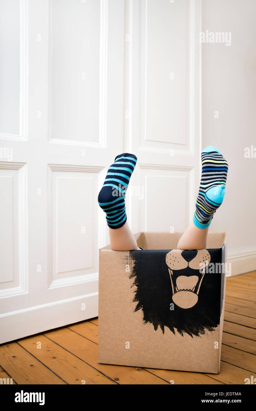 Les jambes d'un garçon à l'intérieur d'une boîte en carton peint avec un  lion Photo Stock - Alamy