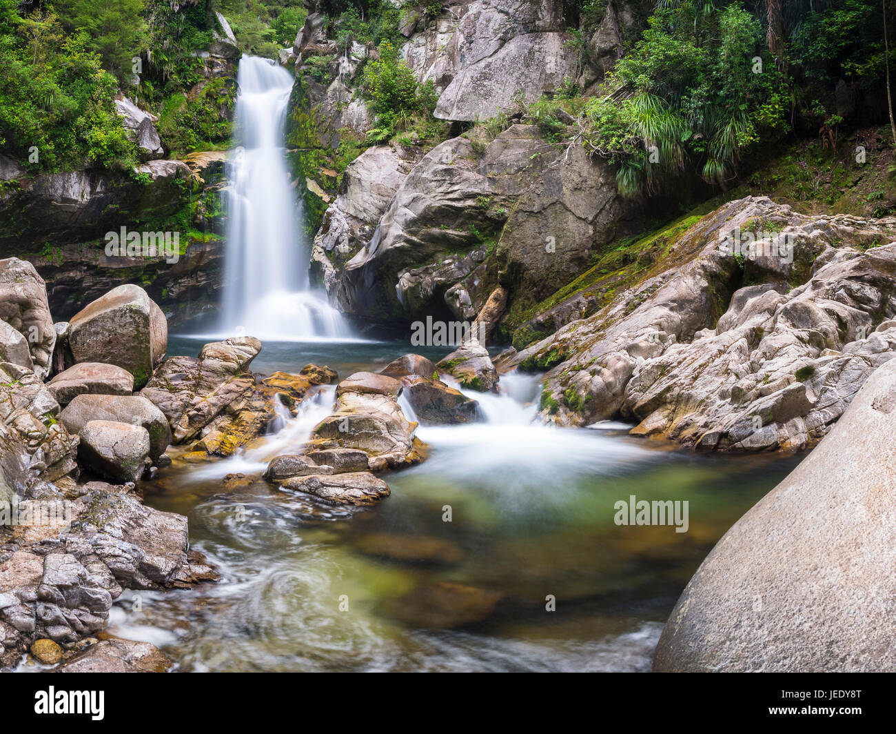 Nouvelle Zélande, île du Sud, parc national Abel Tasman, Wainui Falls Banque D'Images