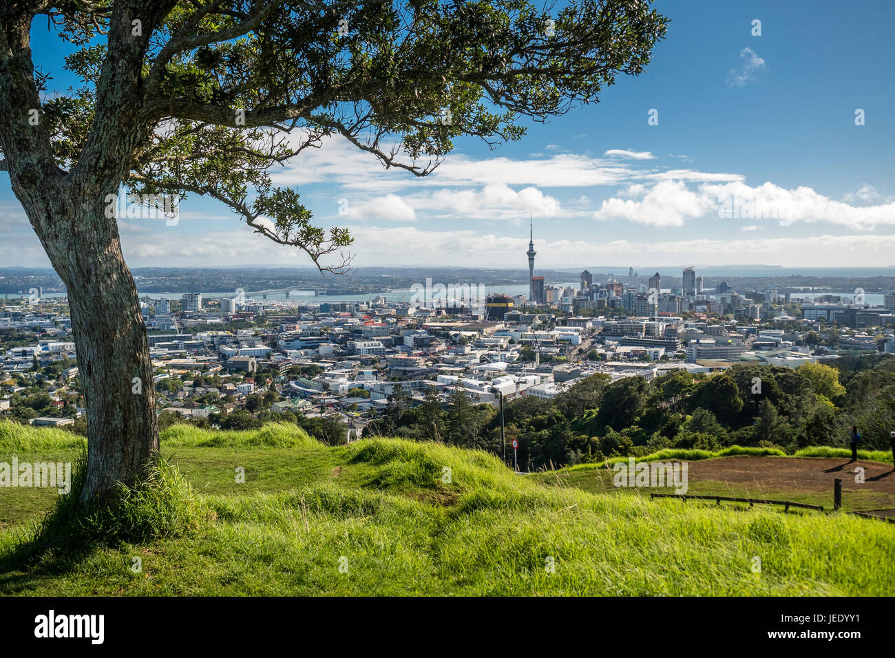 Nouvelle Zélande, île du Nord, le mont Eden, Auckland, paysage urbain Banque D'Images